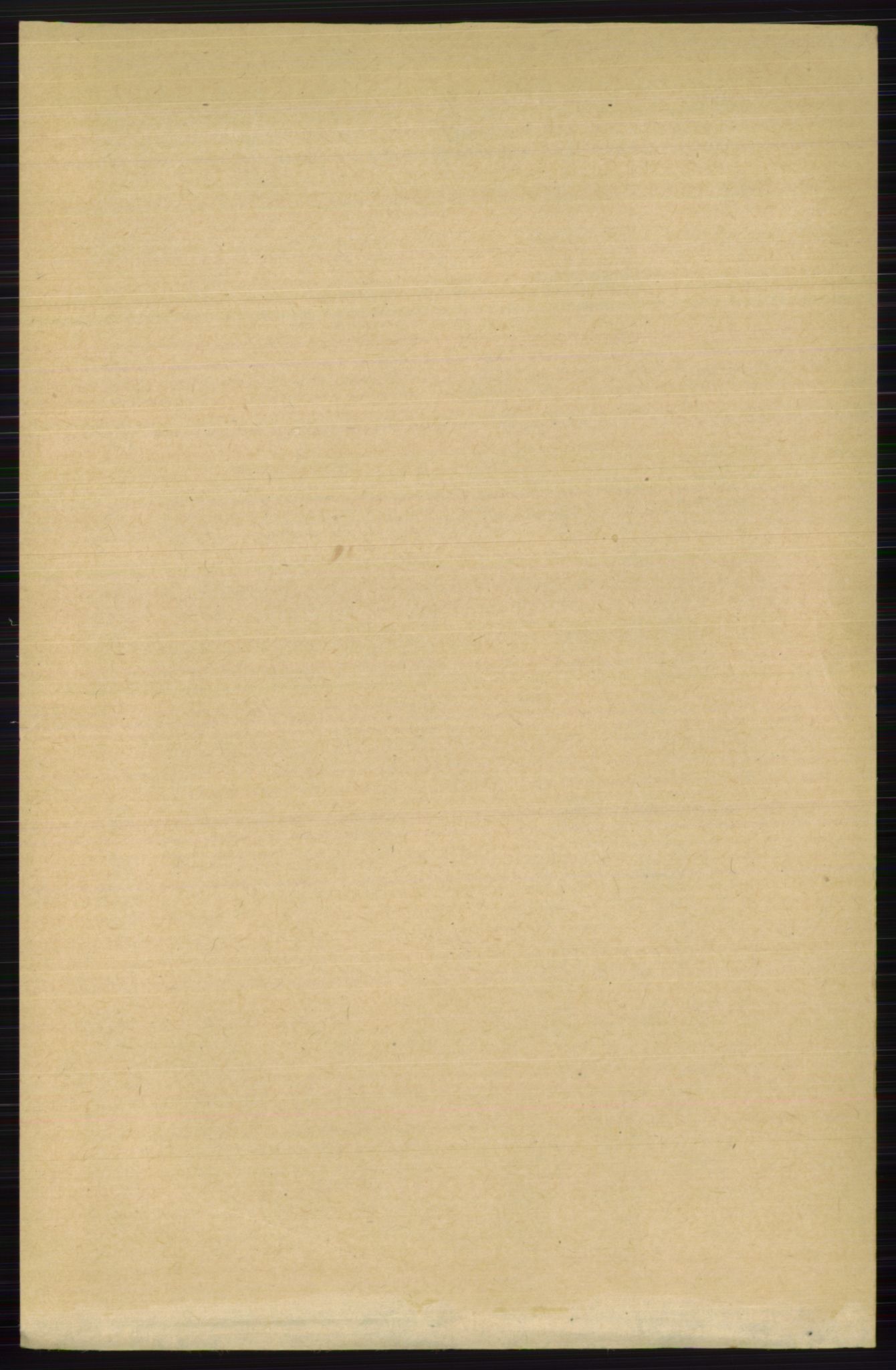RA, 1891 census for 0613 Norderhov, 1891, p. 6596