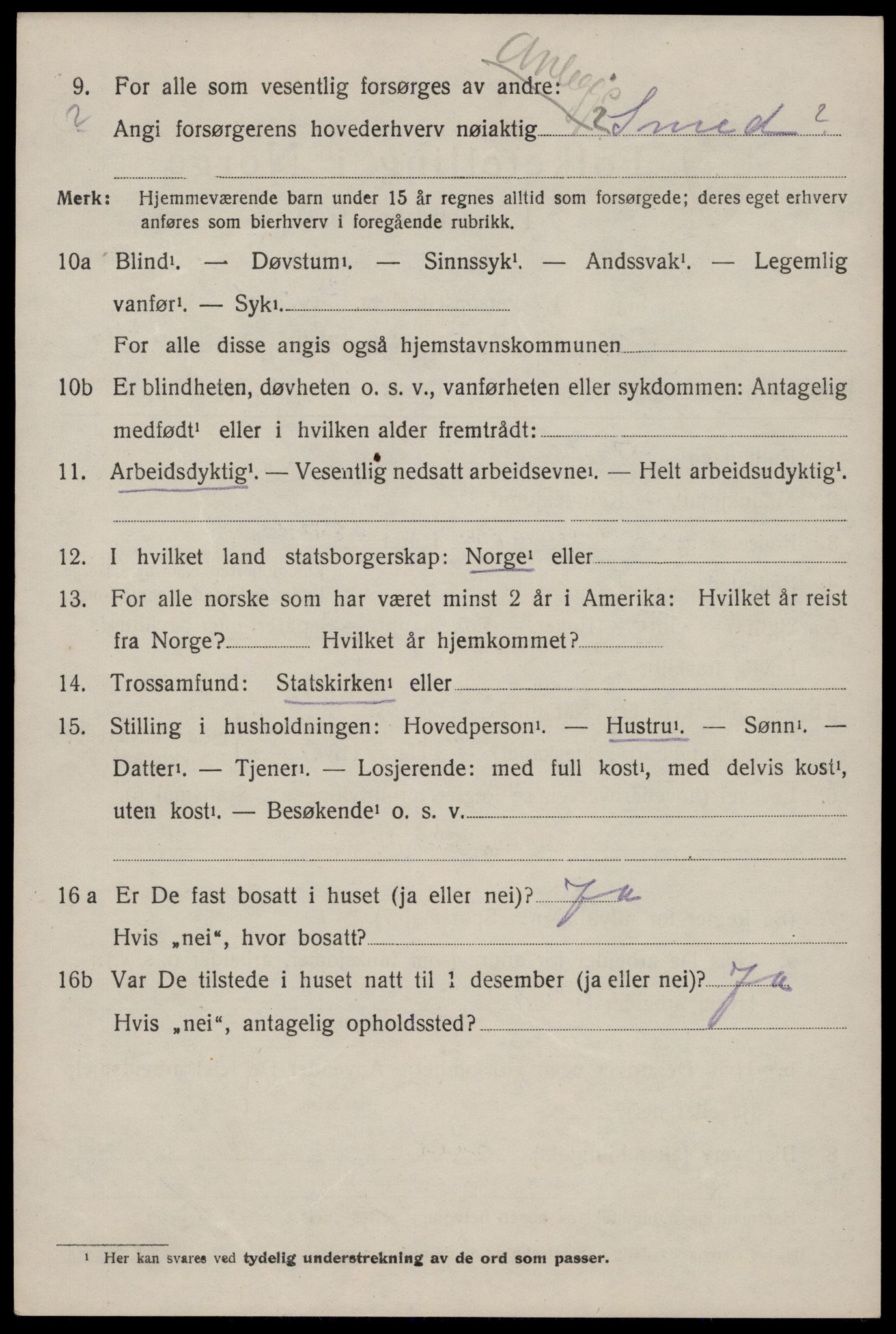 SAKO, 1920 census for Nissedal, 1920, p. 1494