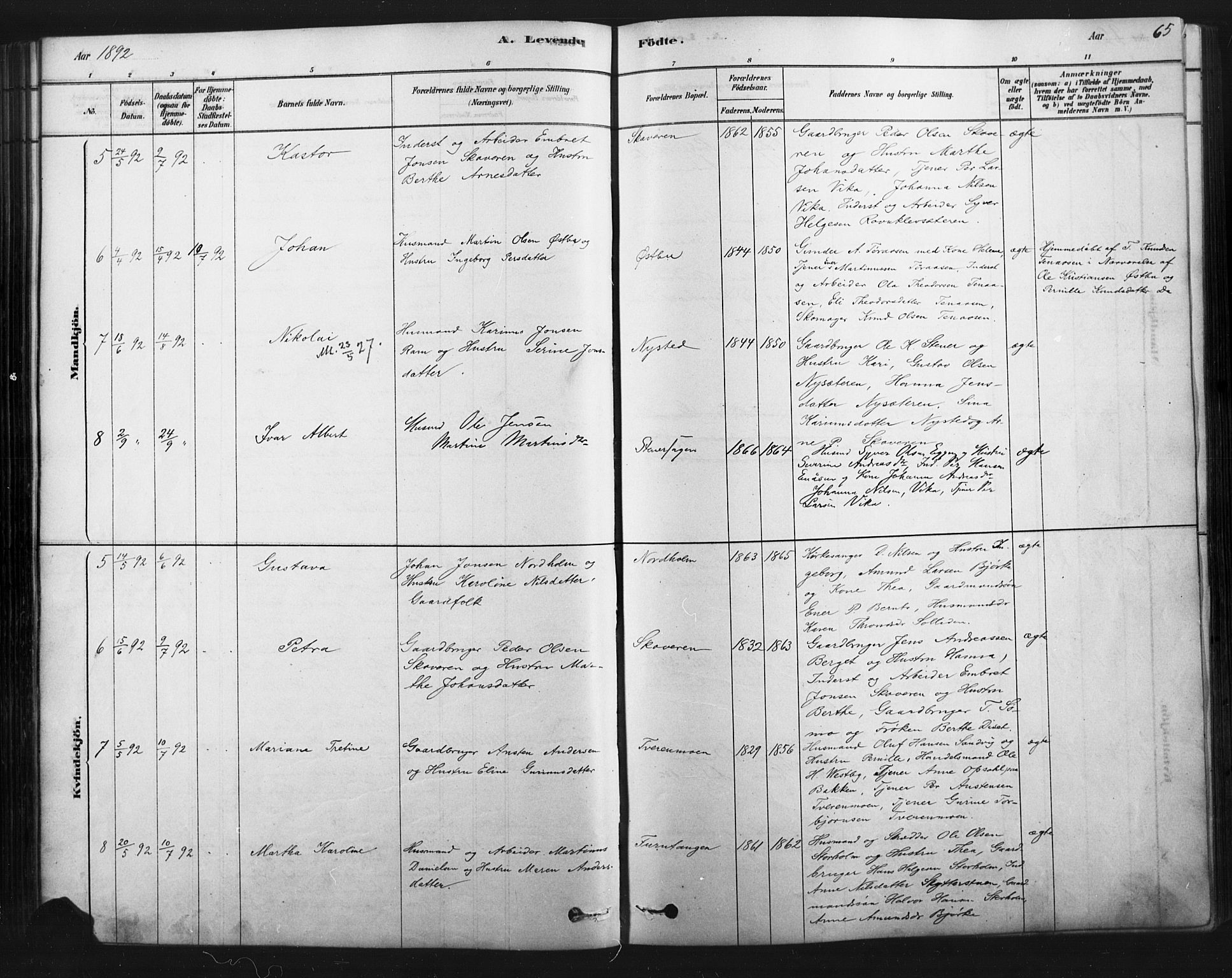 Åmot prestekontor, Hedmark, SAH/PREST-056/H/Ha/Haa/L0012: Parish register (official) no. 12, 1878-1901, p. 65