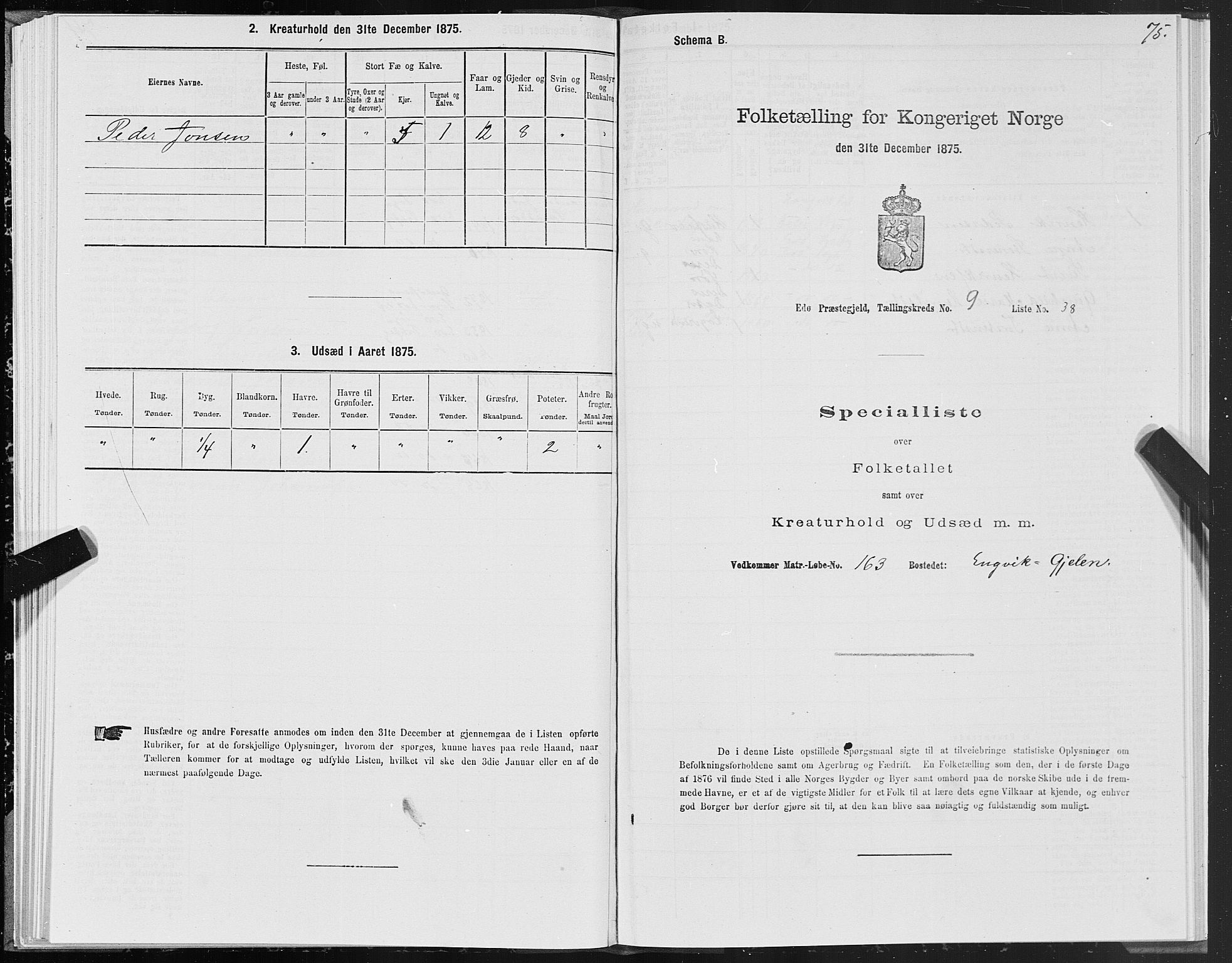 SAT, 1875 census for 1573P Edøy, 1875, p. 4075