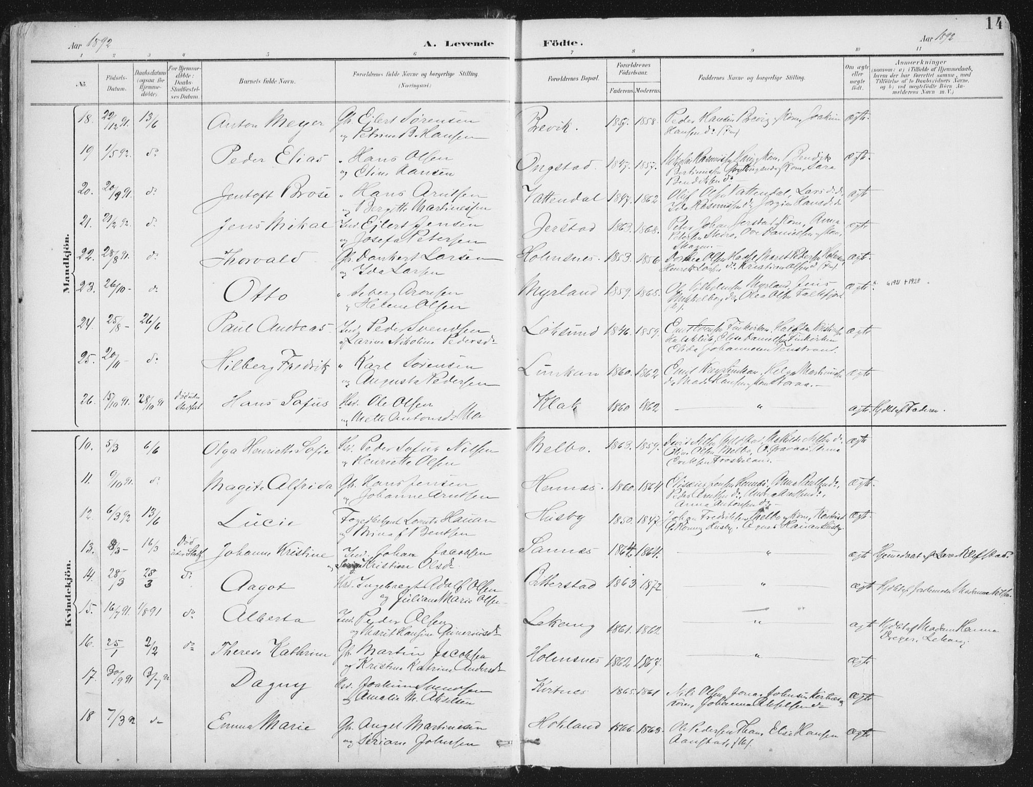 Ministerialprotokoller, klokkerbøker og fødselsregistre - Nordland, AV/SAT-A-1459/888/L1246: Parish register (official) no. 888A12, 1891-1903, p. 14