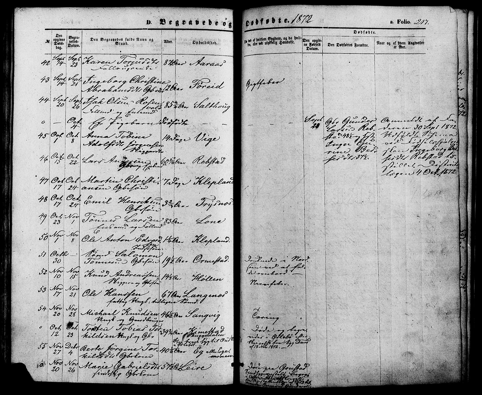 Søgne sokneprestkontor, AV/SAK-1111-0037/F/Fa/Fab/L0011: Parish register (official) no. A 11, 1869-1879, p. 217