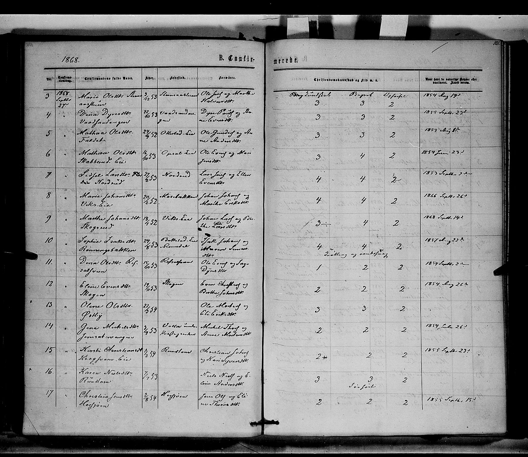 Stange prestekontor, SAH/PREST-002/K/L0014: Parish register (official) no. 14, 1862-1879, p. 101