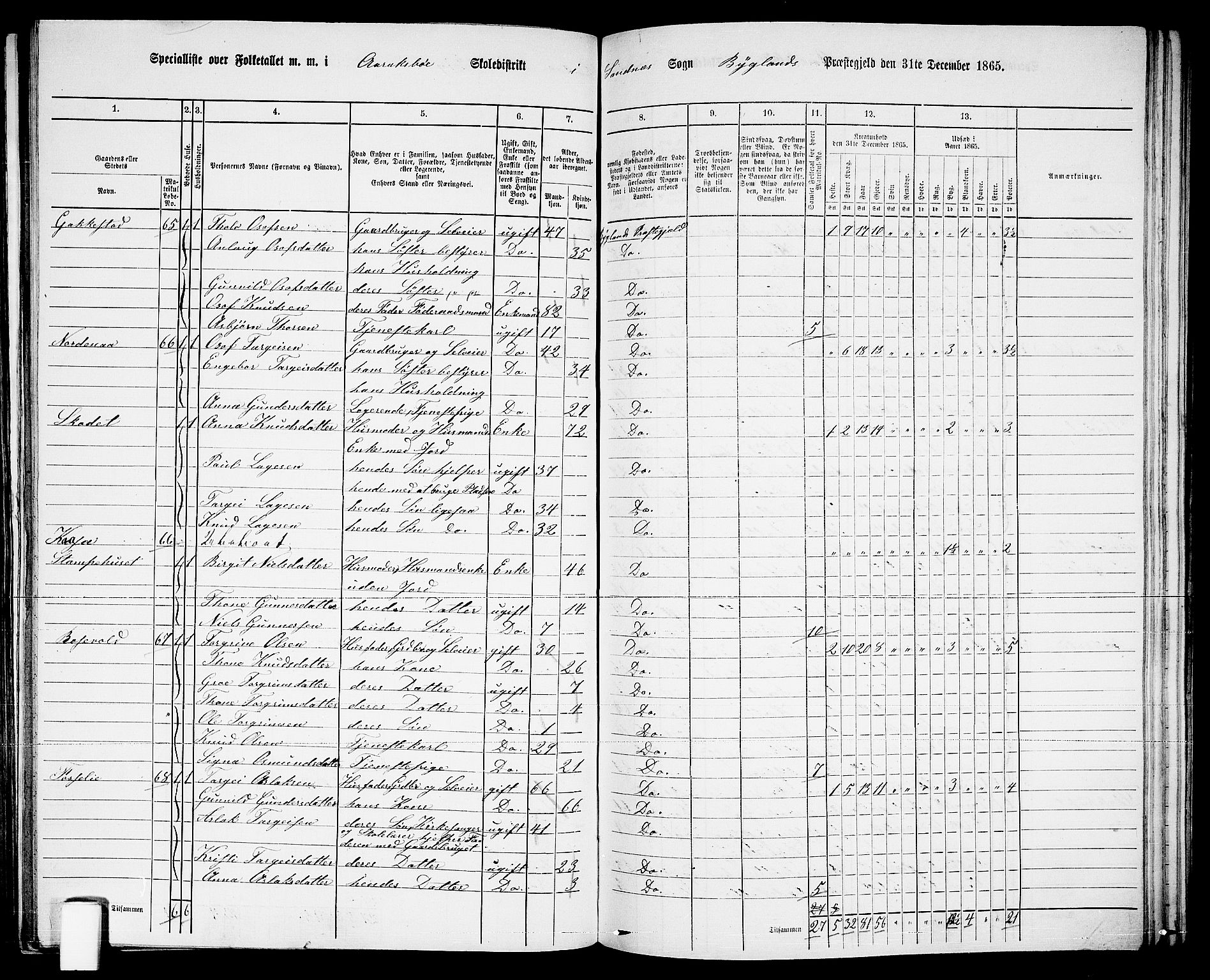 RA, 1865 census for Bygland, 1865, p. 35