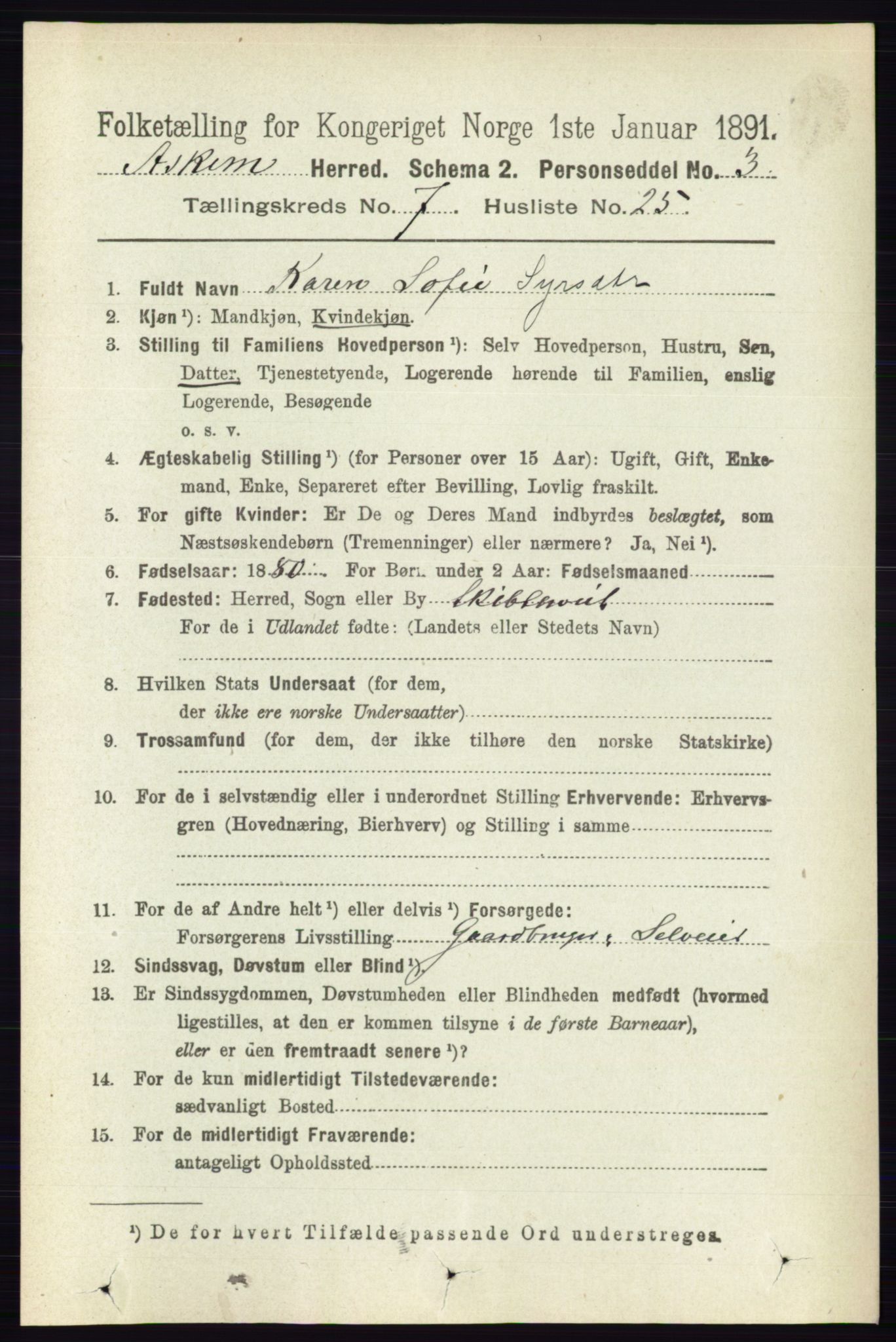 RA, 1891 census for 0124 Askim, 1891, p. 1151