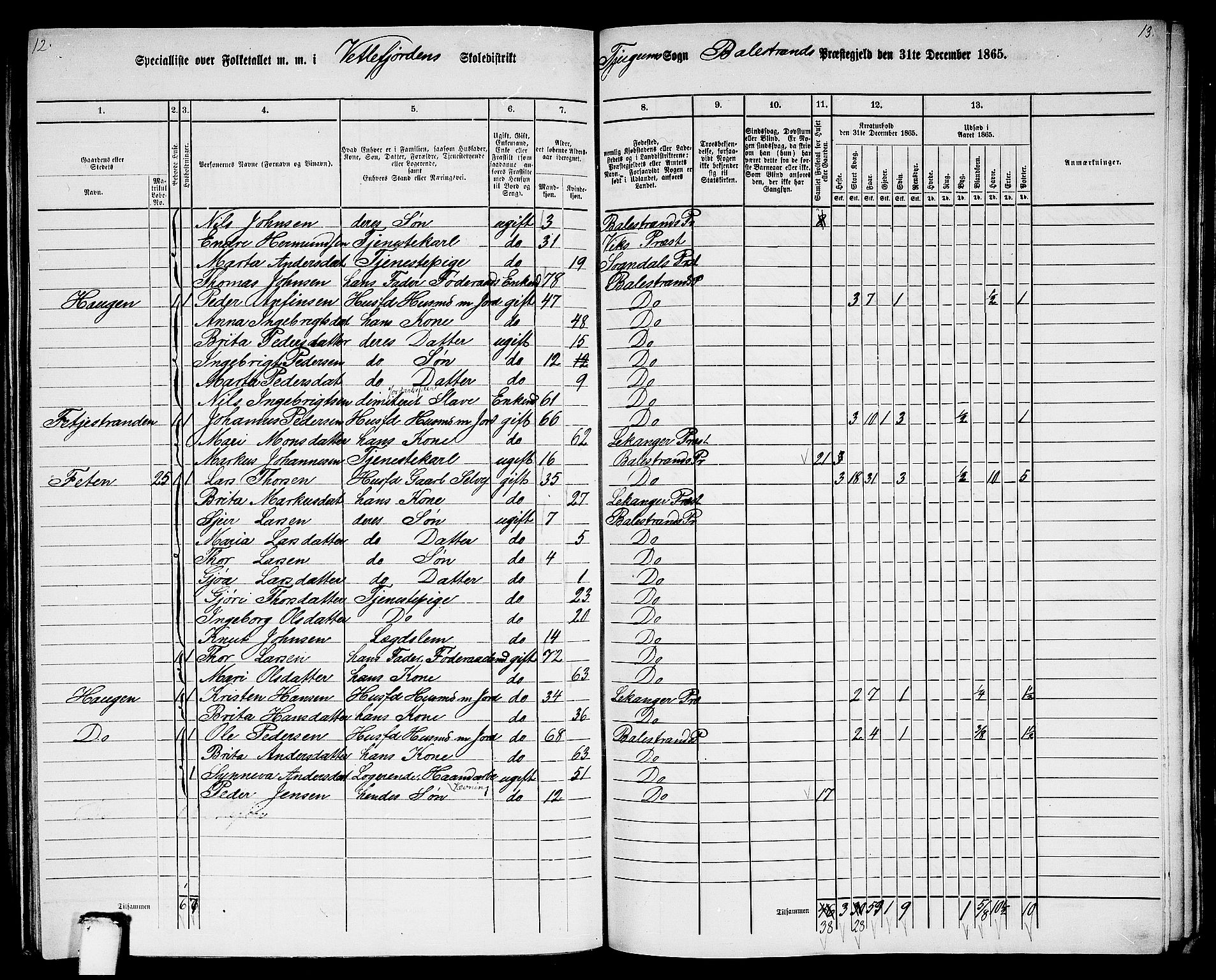 RA, 1865 census for Balestrand, 1865, p. 43