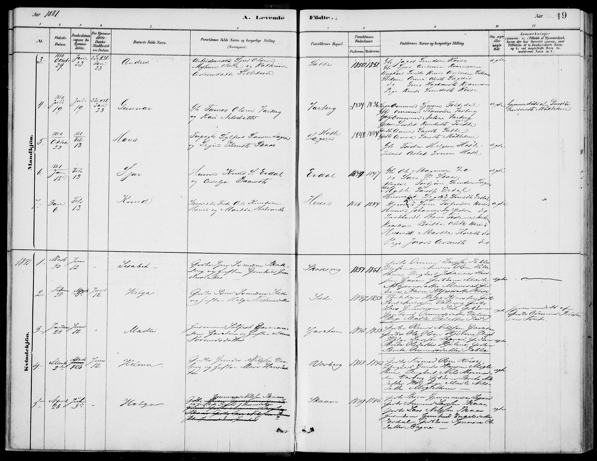 Ulvik sokneprestembete, SAB/A-78801/H/Haa: Parish register (official) no. D  1, 1878-1903, p. 19