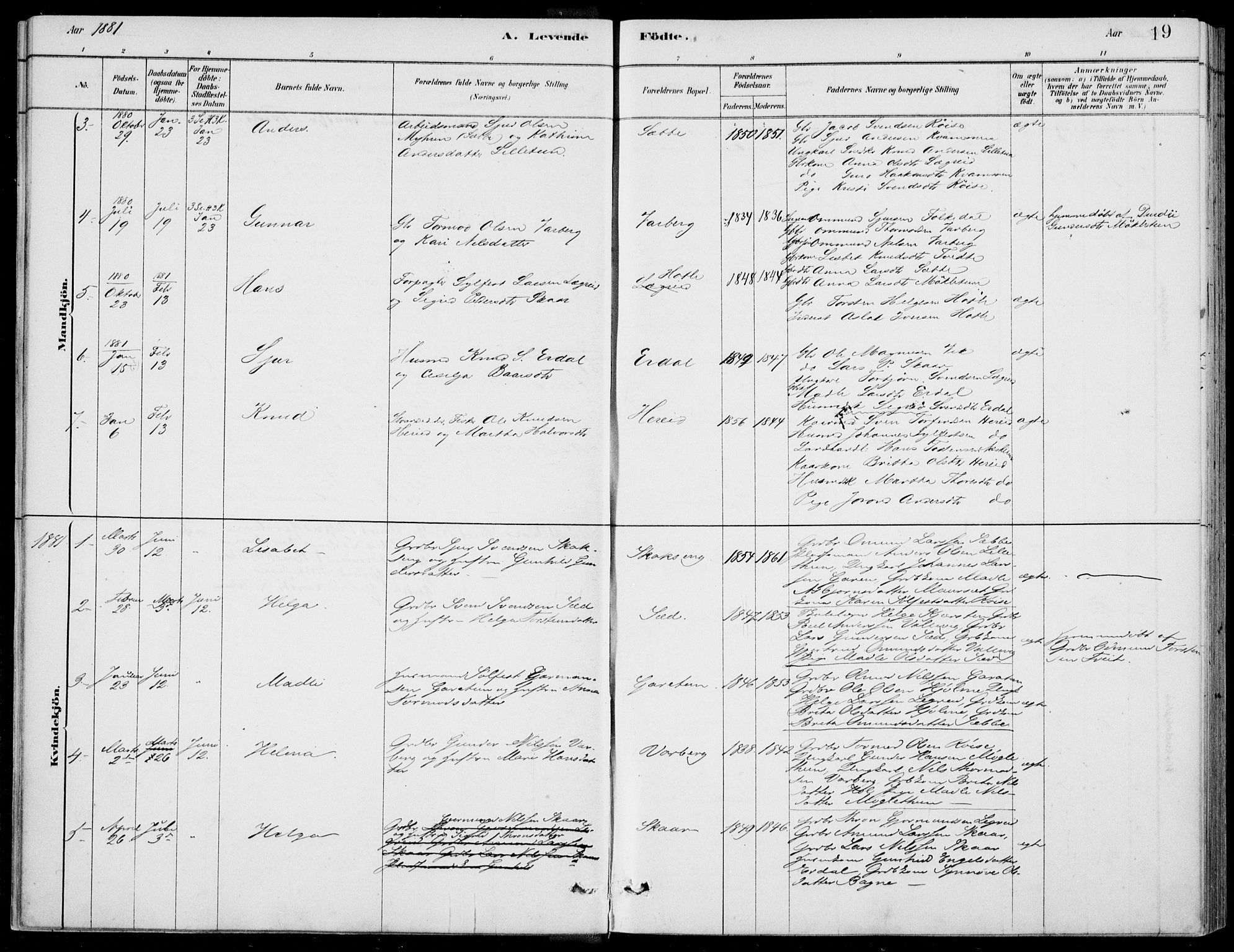 Ulvik sokneprestembete, AV/SAB-A-78801/H/Haa: Parish register (official) no. D  1, 1878-1903, p. 19