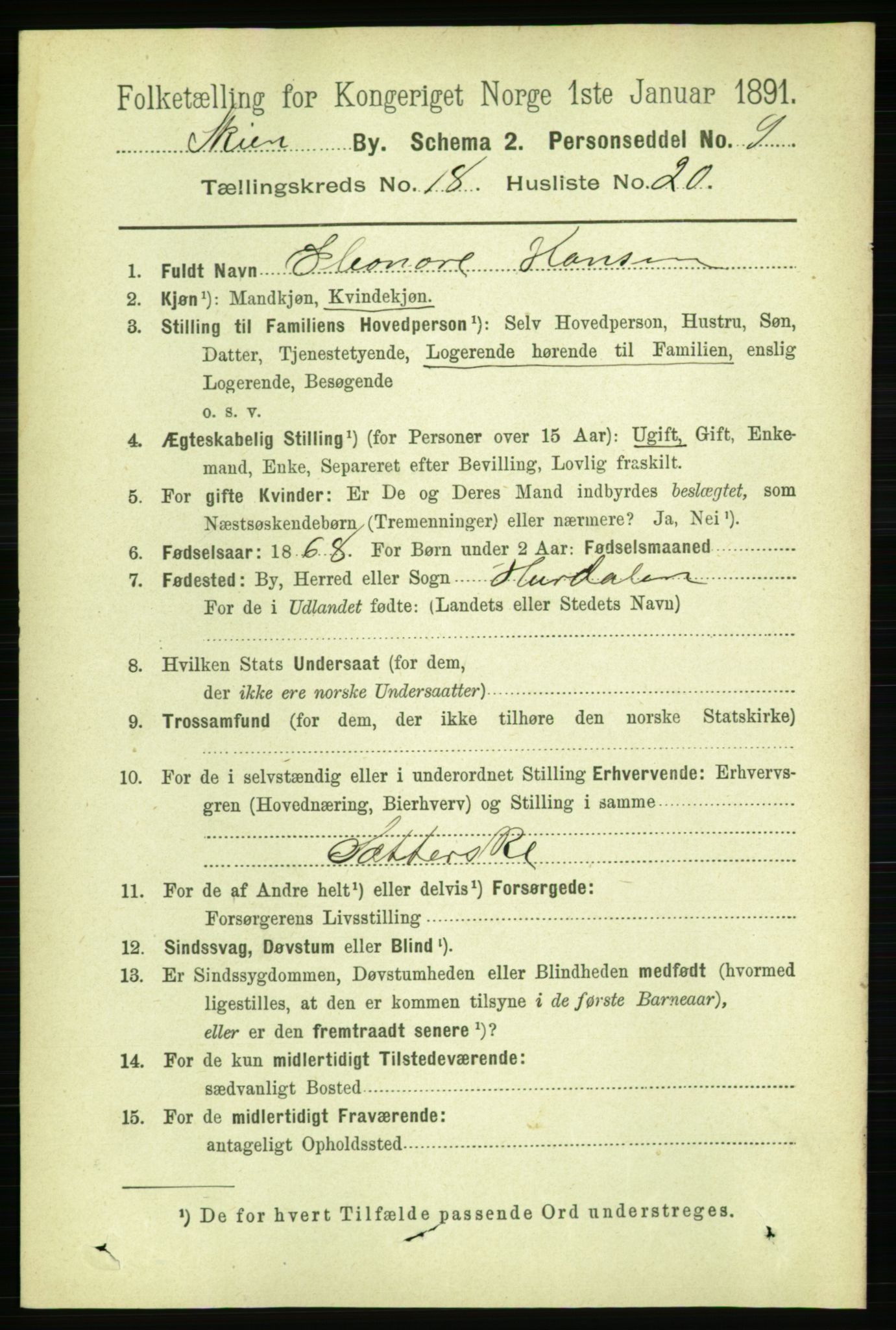 RA, 1891 census for 0806 Skien, 1891, p. 5058