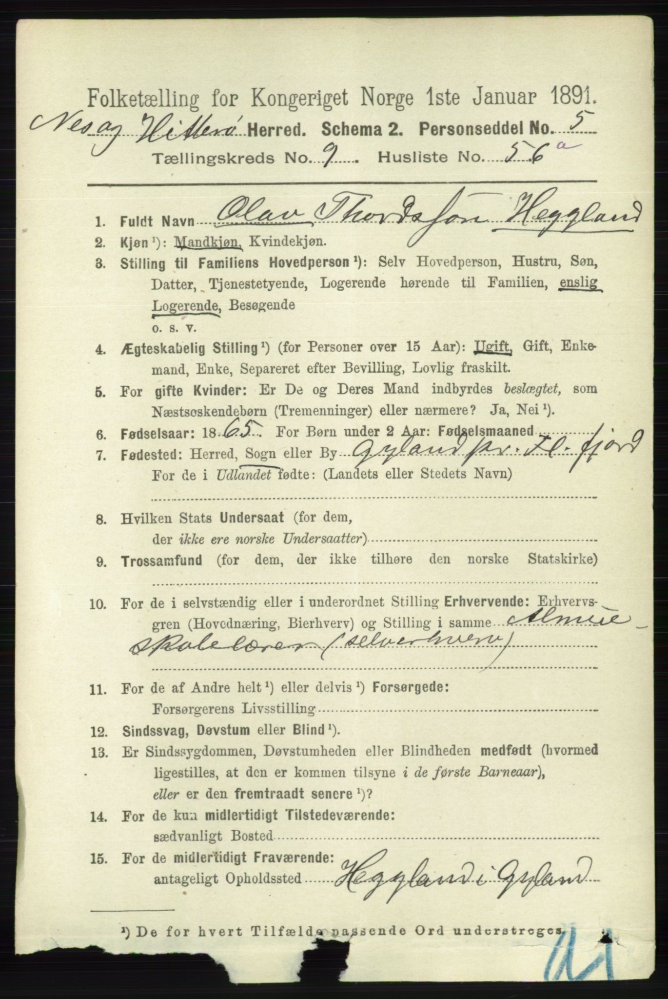 RA, 1891 census for 1043 Hidra og Nes, 1891, p. 4084