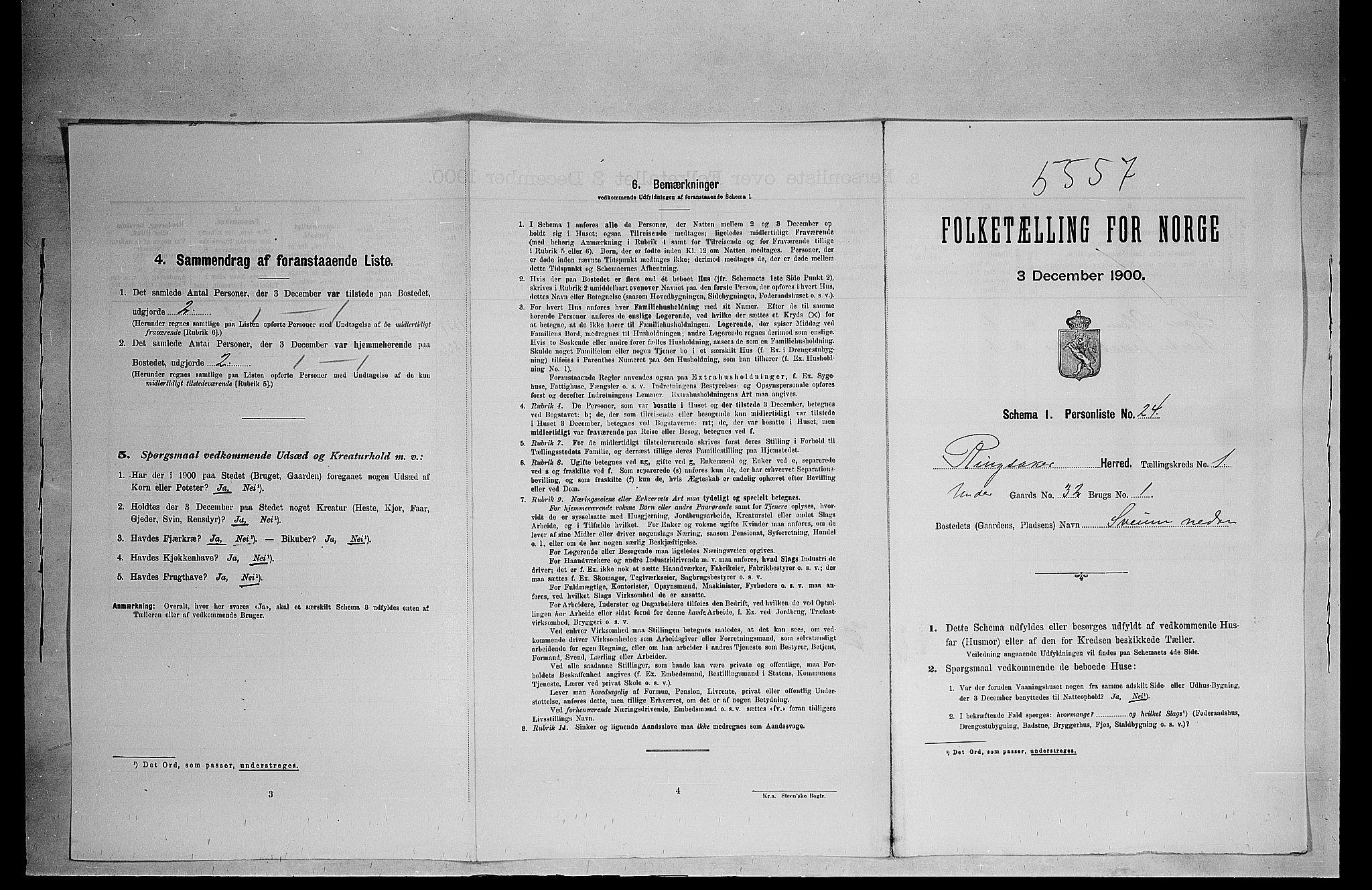 SAH, 1900 census for Ringsaker, 1900, p. 383