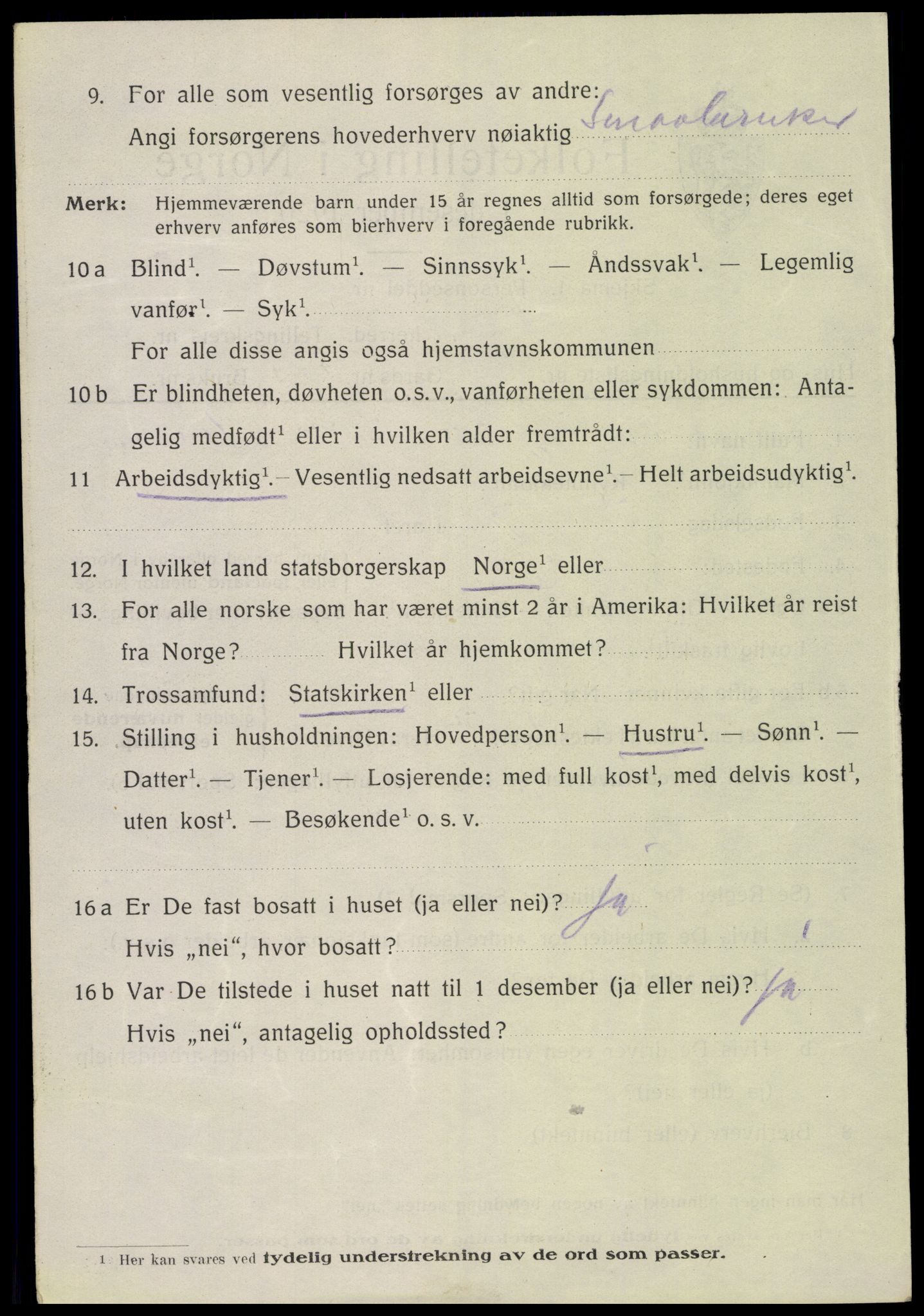 SAH, 1920 census for Vang (Hedmark), 1920, p. 18082