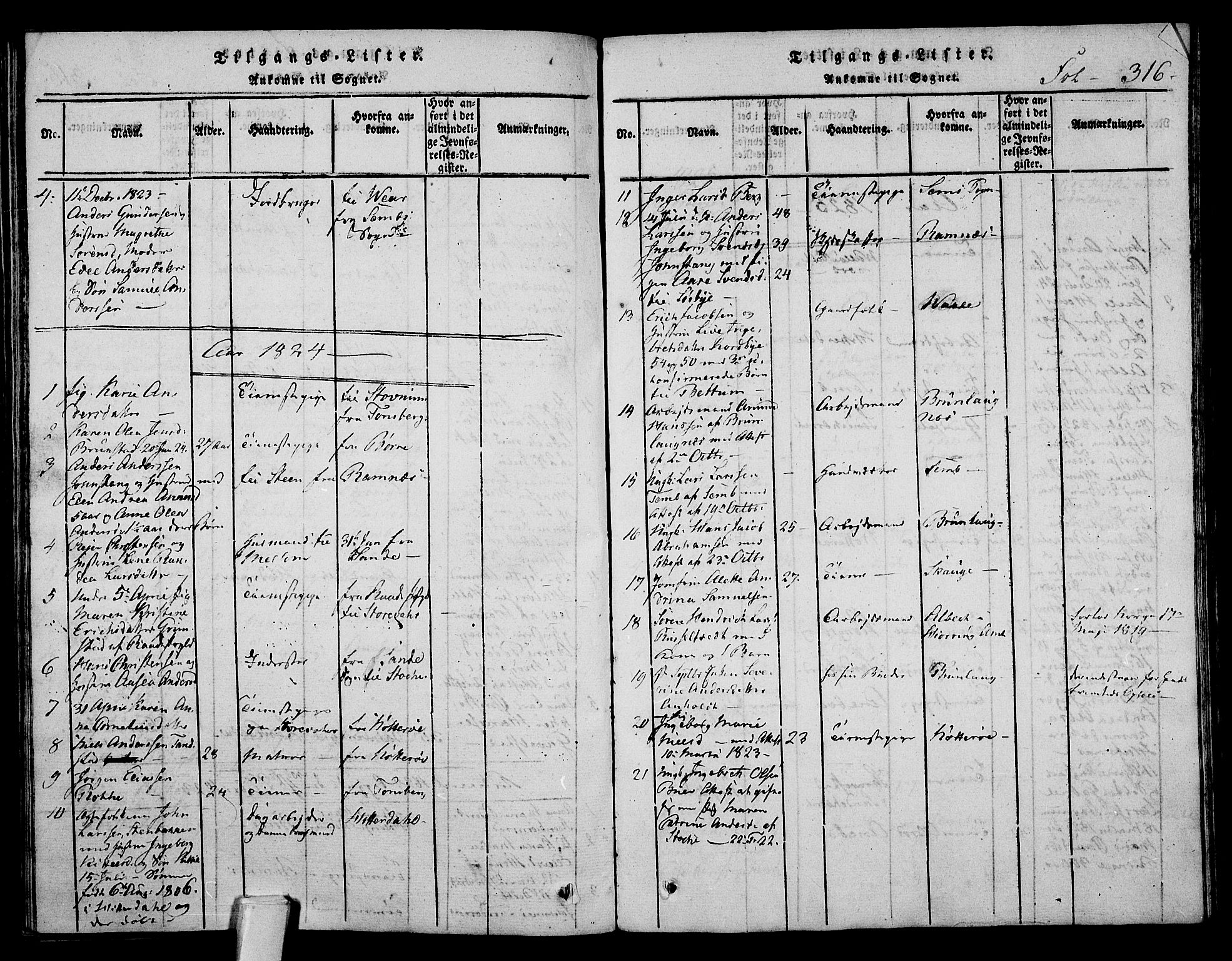 Stokke kirkebøker, AV/SAKO-A-320/F/Fa/L0005: Parish register (official) no. I 5, 1815-1826, p. 316