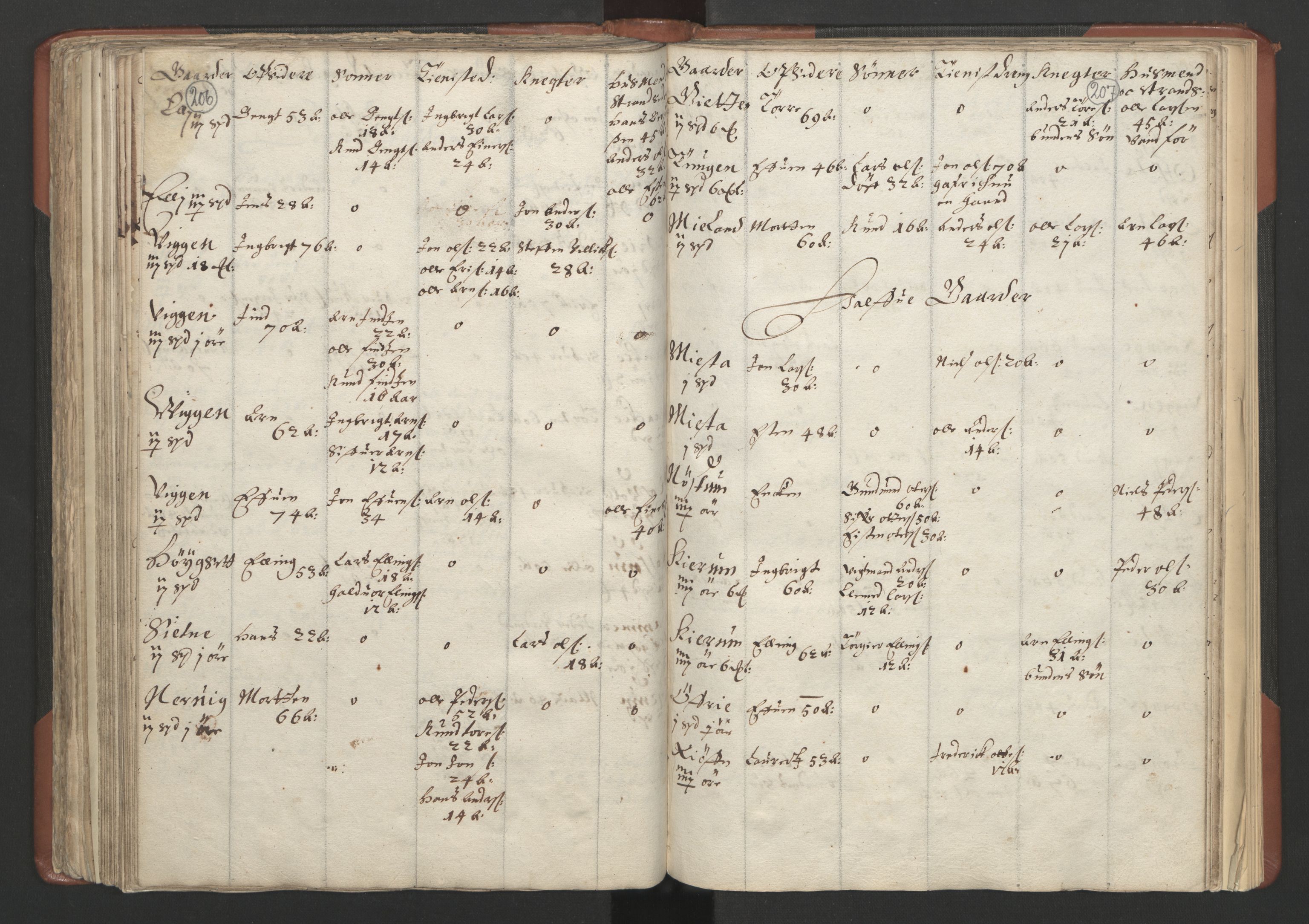RA, Bailiff's Census 1664-1666, no. 18: Gauldal fogderi, Strinda fogderi and Orkdal fogderi, 1664, p. 206-207