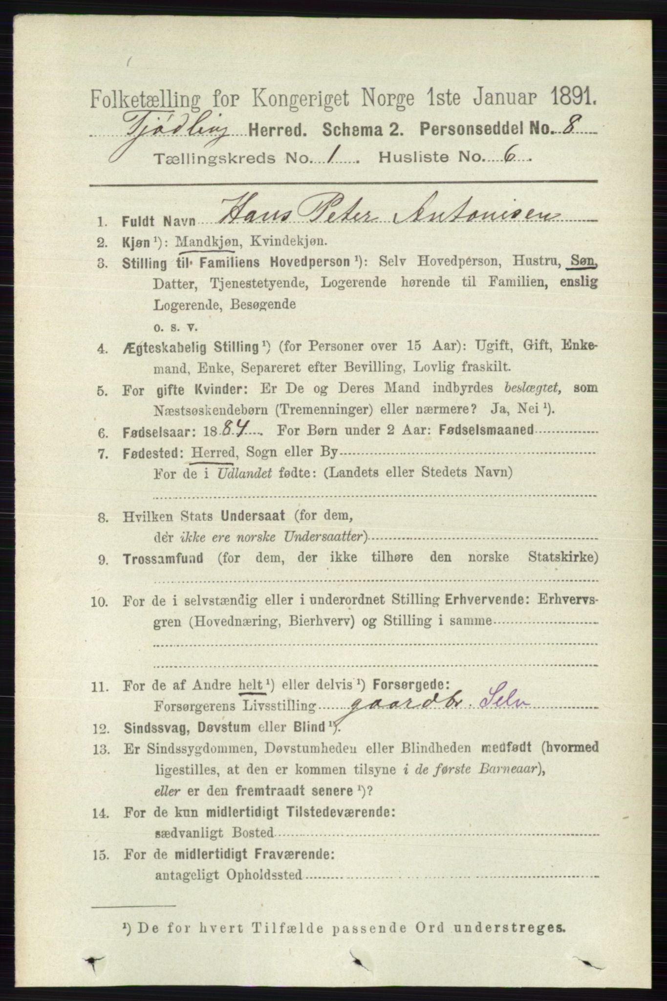 RA, 1891 census for 0725 Tjølling, 1891, p. 131