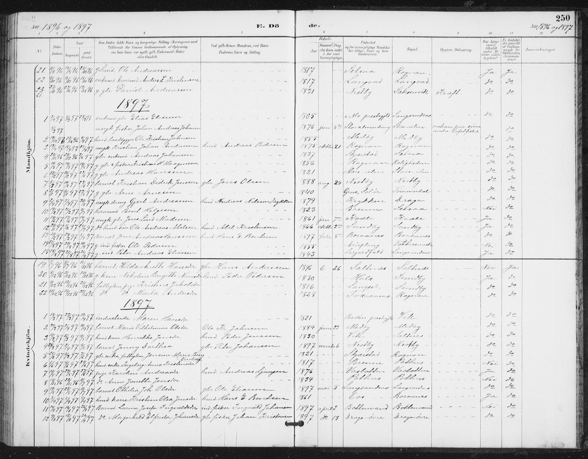 Ministerialprotokoller, klokkerbøker og fødselsregistre - Nordland, SAT/A-1459/847/L0682: Parish register (copy) no. 847C10, 1889-1907, p. 250