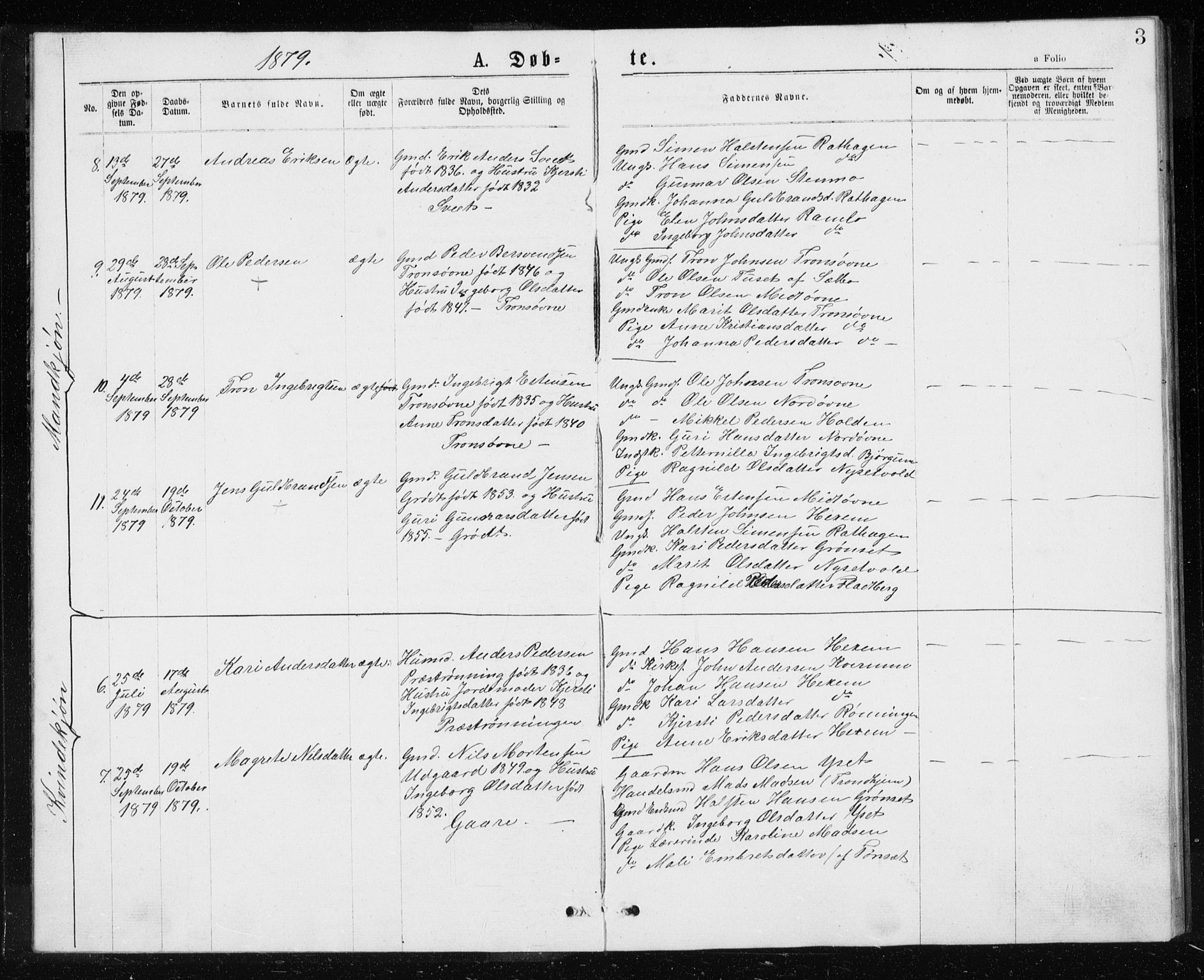 Ministerialprotokoller, klokkerbøker og fødselsregistre - Sør-Trøndelag, AV/SAT-A-1456/685/L0977: Parish register (copy) no. 685C02, 1879-1890, p. 3