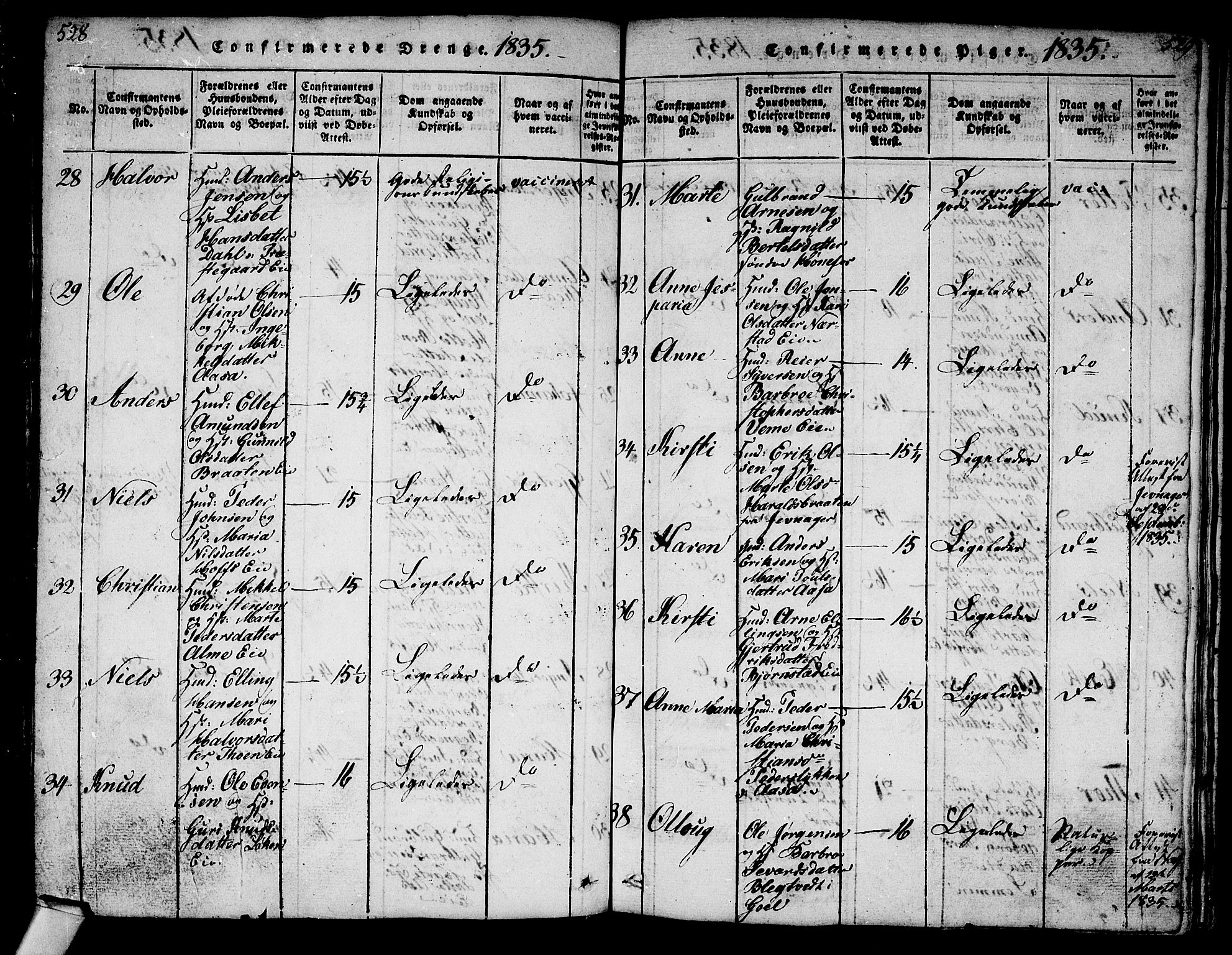 Norderhov kirkebøker, AV/SAKO-A-237/G/Ga/L0003: Parish register (copy) no. I 3 /1, 1814-1876, p. 528-529