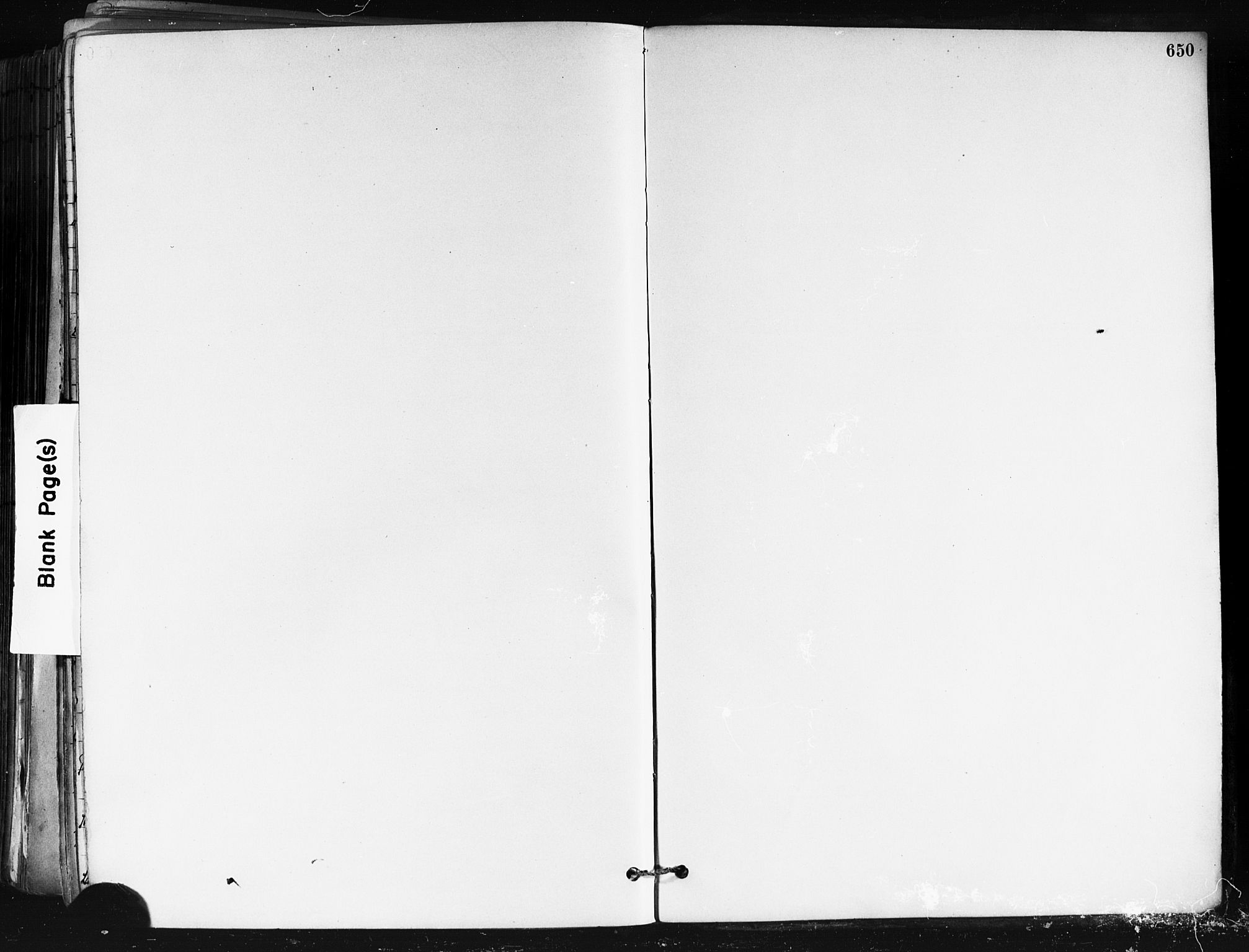 Nes prestekontor Kirkebøker, AV/SAO-A-10410/F/Fa/L0010: Parish register (official) no. I 10, 1883-1898, p. 650