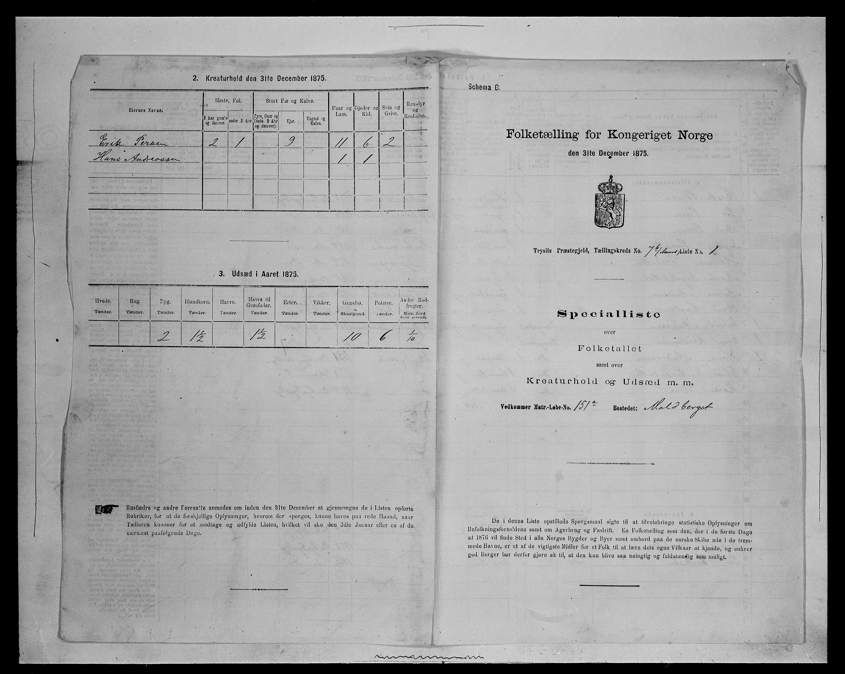 SAH, 1875 census for 0428P Trysil, 1875, p. 1432