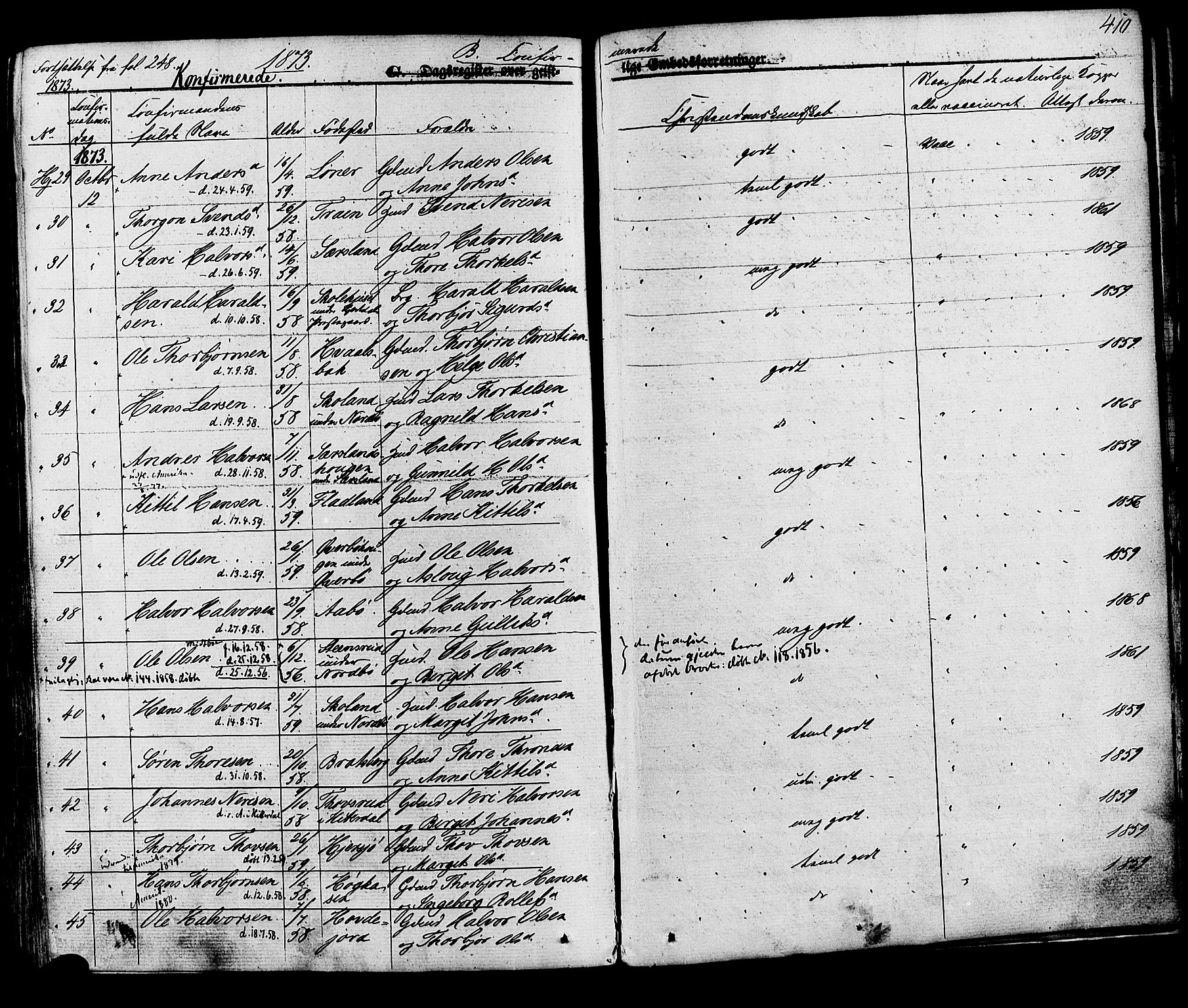 Hjartdal kirkebøker, SAKO/A-270/F/Fa/L0009: Parish register (official) no. I 9, 1860-1879, p. 410