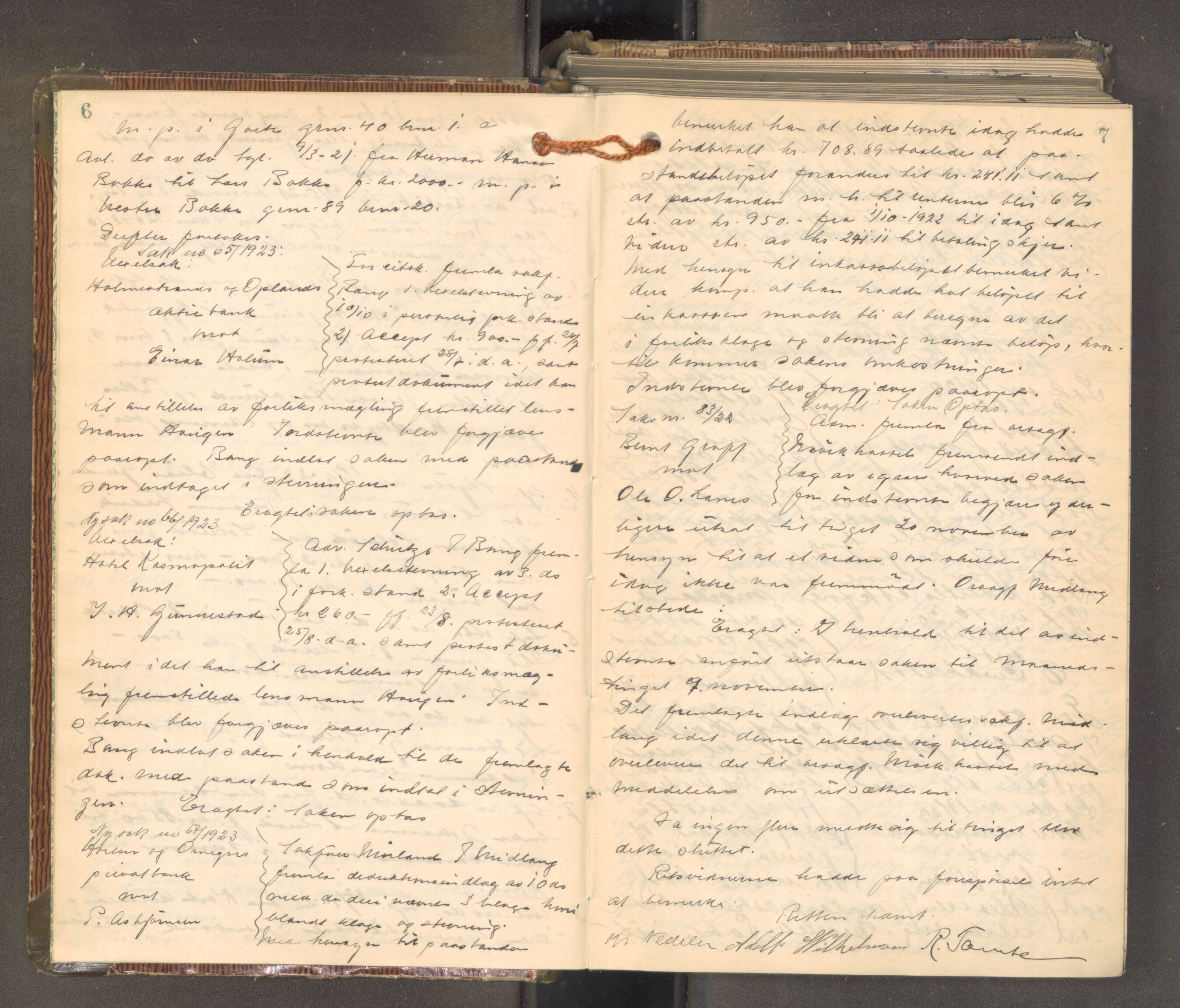 Mellom Jarlsberg sorenskriveri, AV/SAKO-A-132/F/Fa/Faa/L0018: Tingbok, 1923-1926, p. 6-7