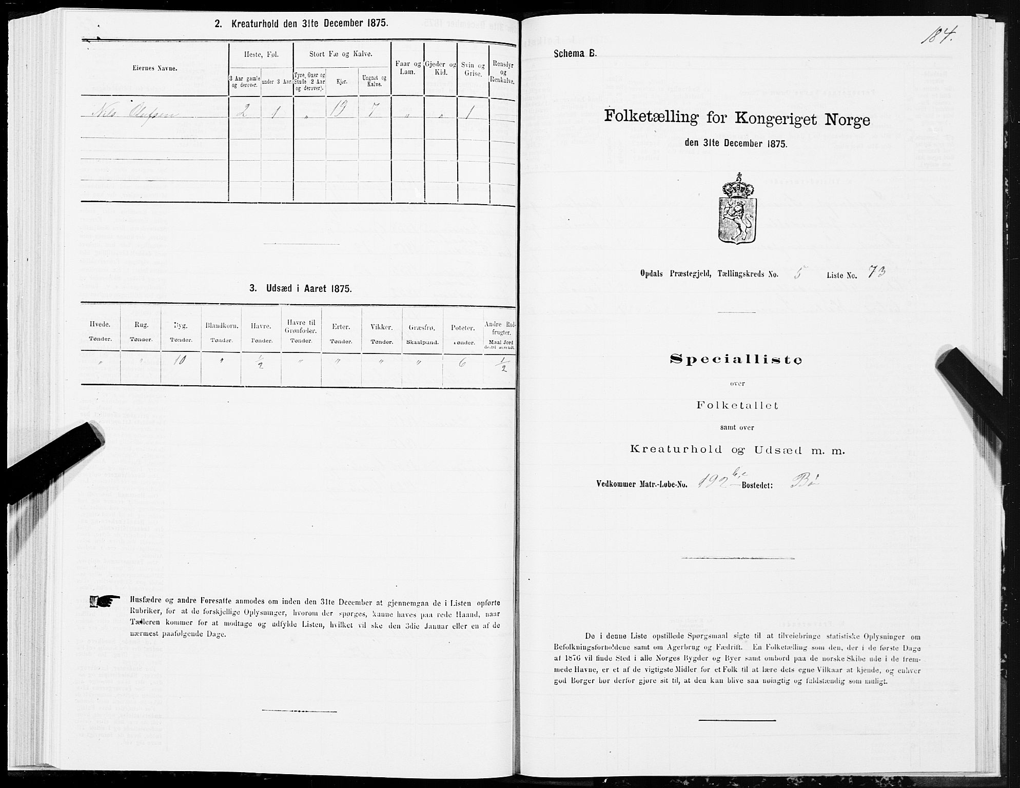 SAT, 1875 census for 1634P Oppdal, 1875, p. 3184