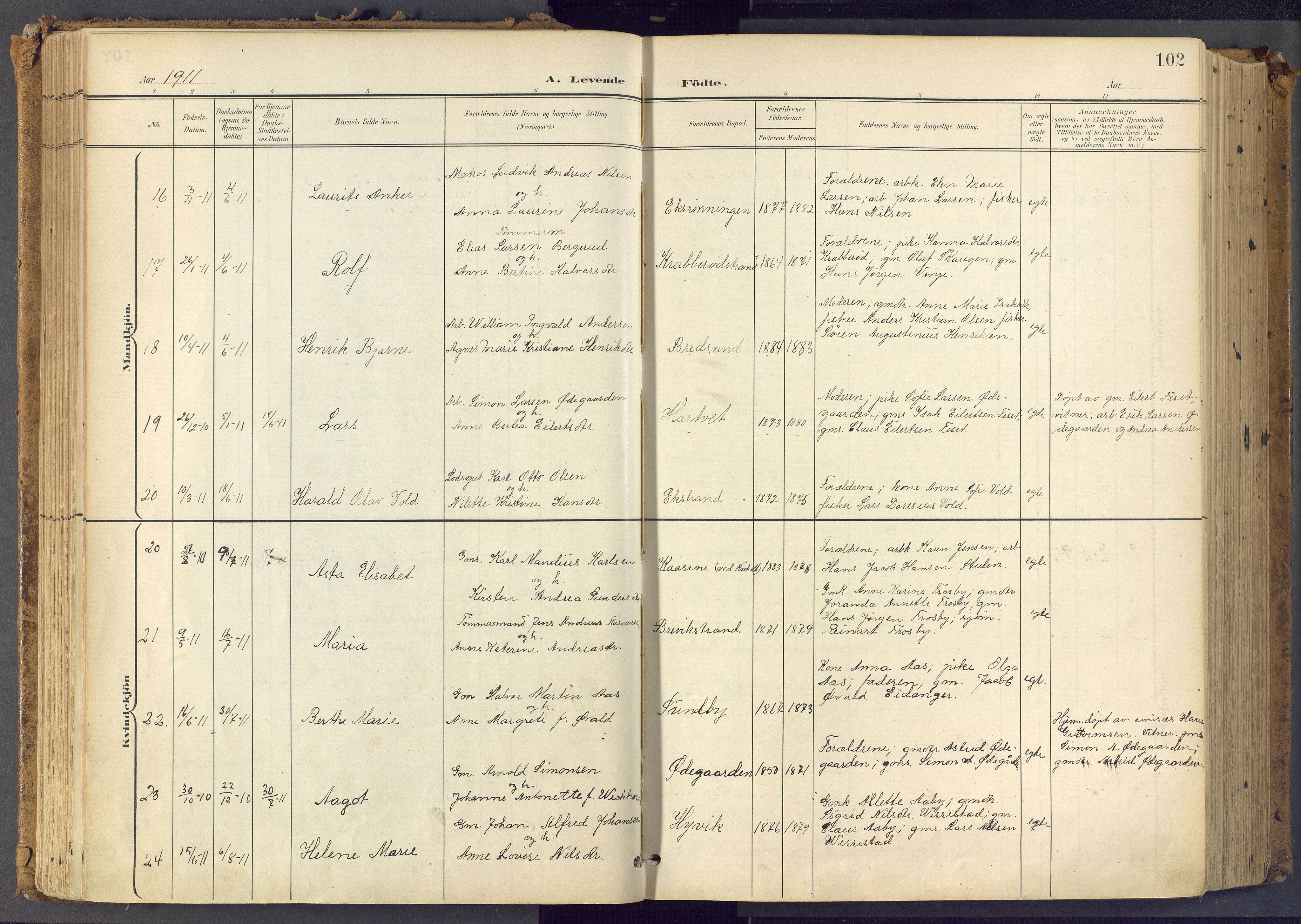 Bamble kirkebøker, AV/SAKO-A-253/F/Fa/L0009: Parish register (official) no. I 9, 1901-1917, p. 102