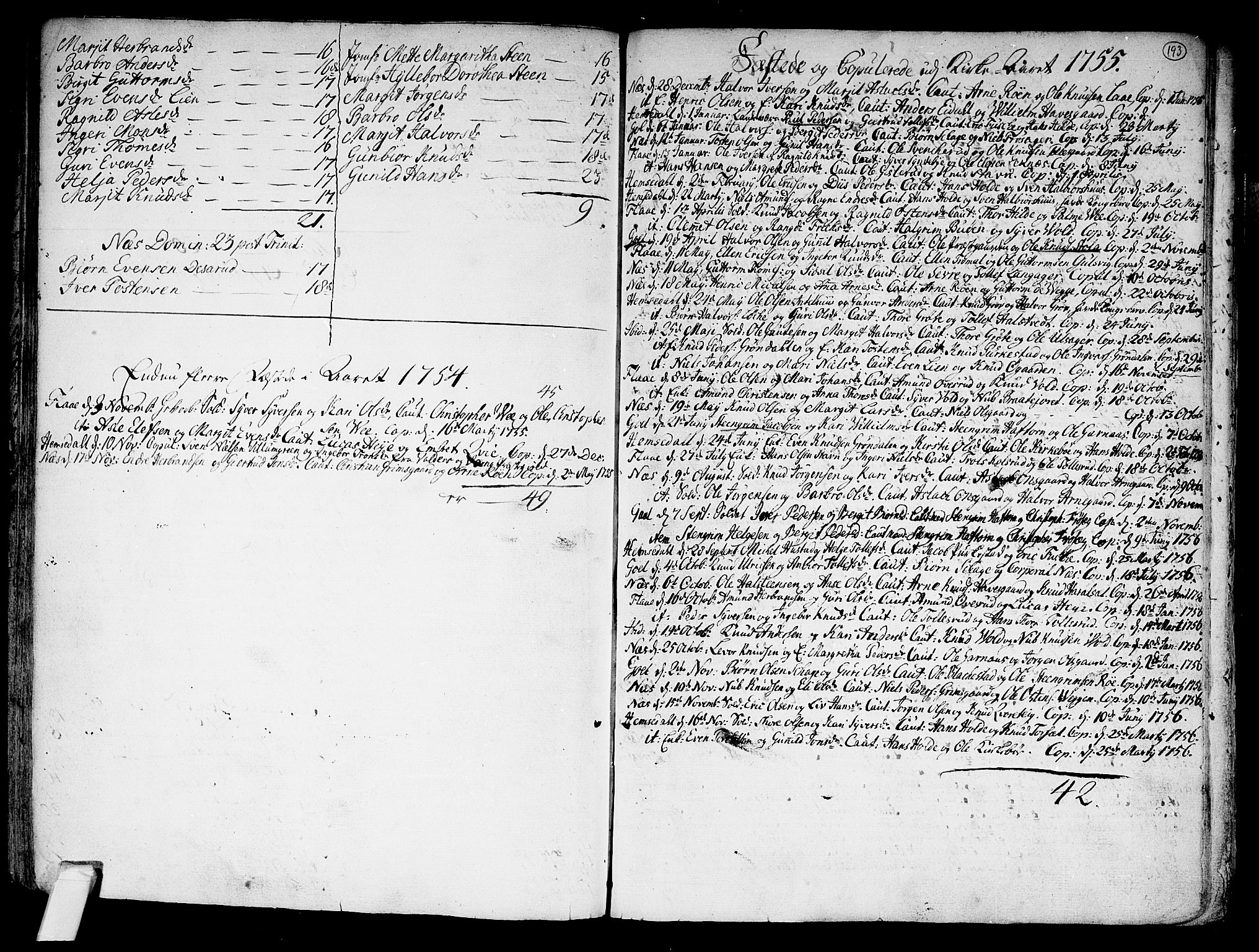 Nes kirkebøker, SAKO/A-236/F/Fa/L0002: Parish register (official) no. 2, 1707-1759, p. 193