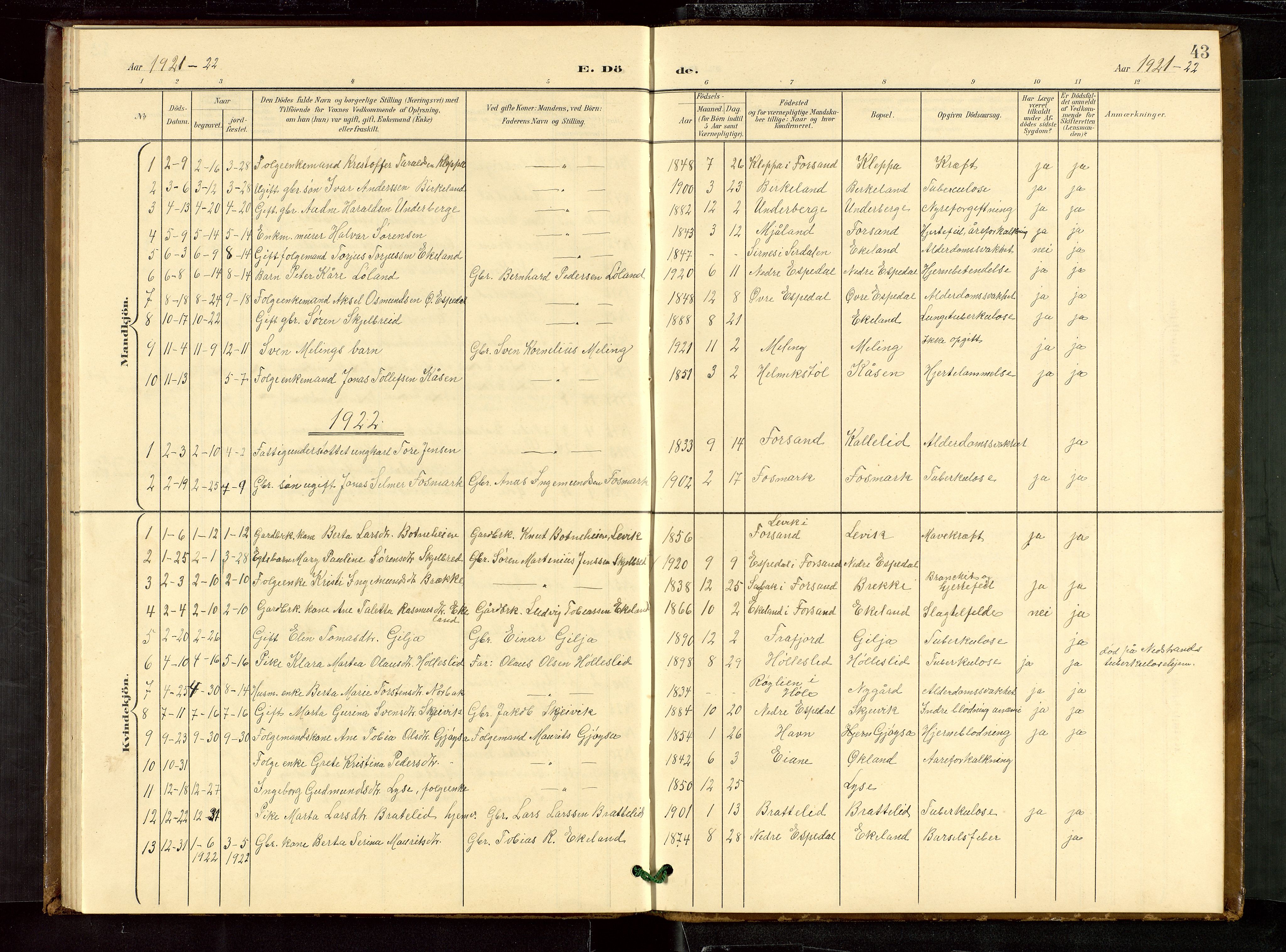 Høgsfjord sokneprestkontor, SAST/A-101624/H/Ha/Hab/L0010: Parish register (copy) no. B 10, 1900-1922, p. 43