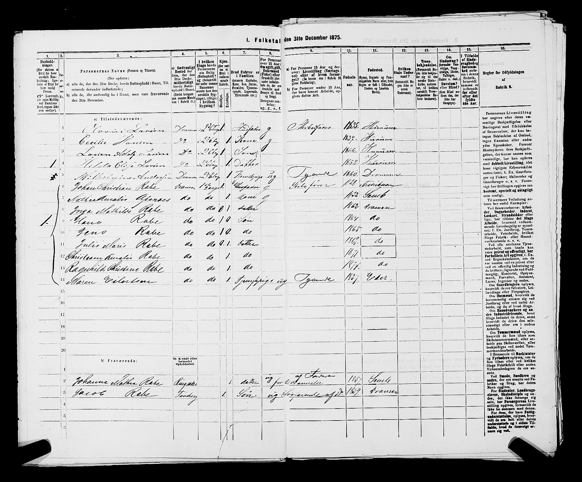 SAKO, 1875 census for 0602 Drammen, 1875, p. 2972