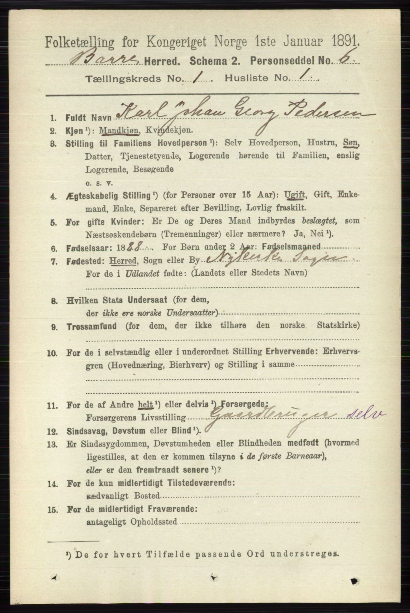 RA, 1891 census for 0717 Borre, 1891, p. 144