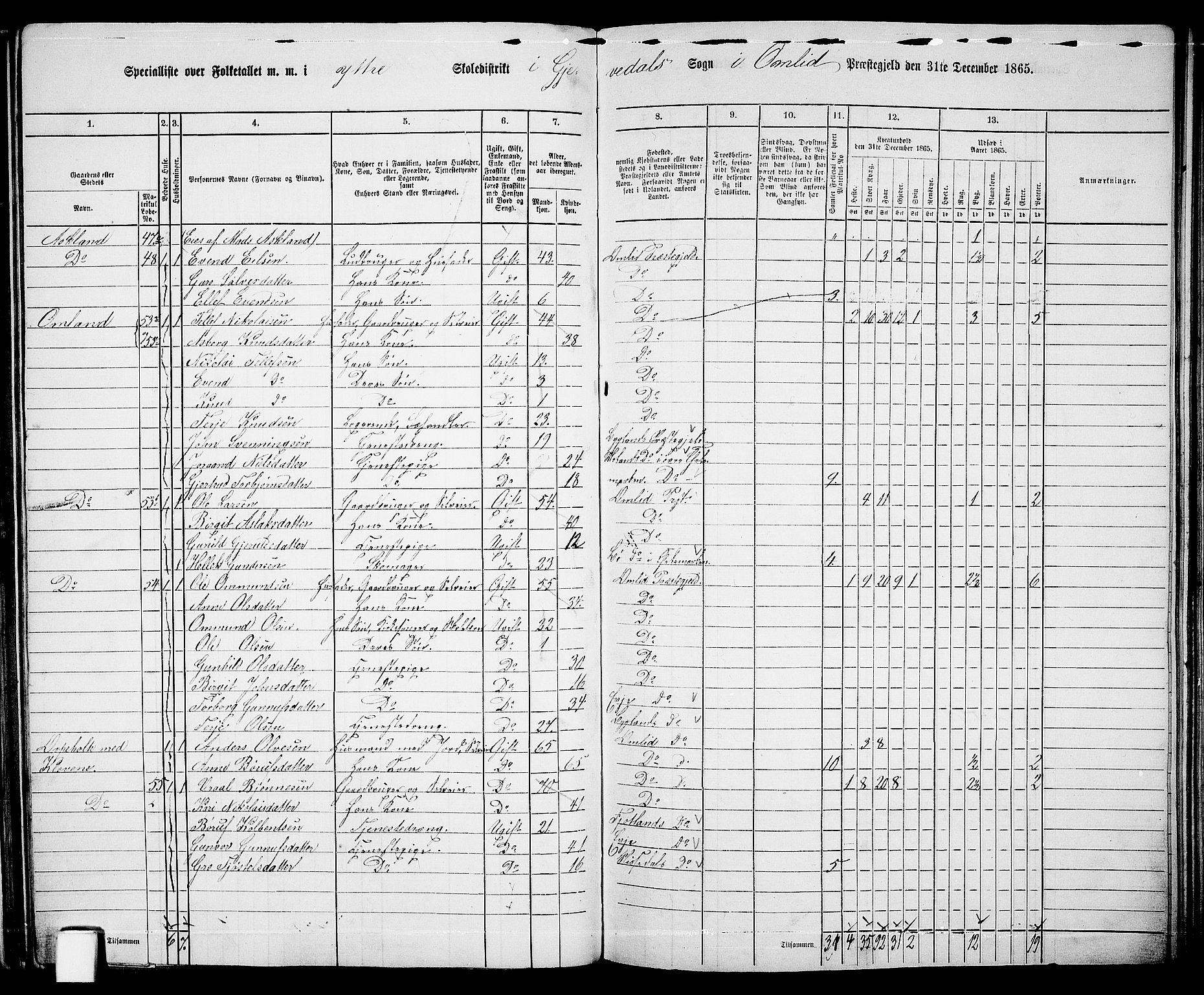 RA, 1865 census for Åmli, 1865, p. 67