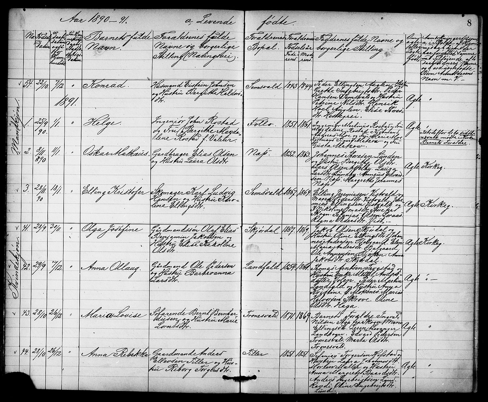 Ministerialprotokoller, klokkerbøker og fødselsregistre - Nord-Trøndelag, AV/SAT-A-1458/723/L0257: Parish register (copy) no. 723C05, 1890-1907, p. 8