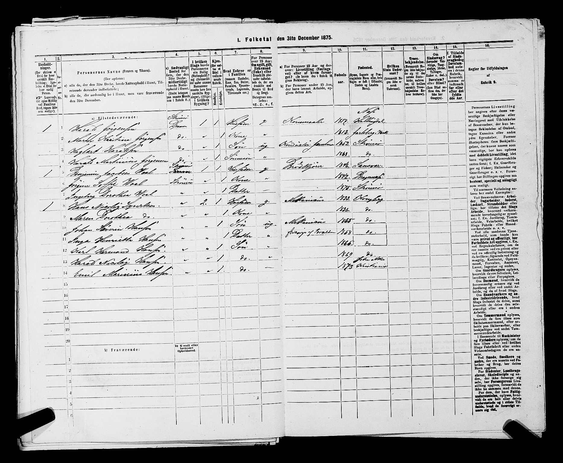 SAKO, 1875 census for 0602 Drammen, 1875, p. 2916