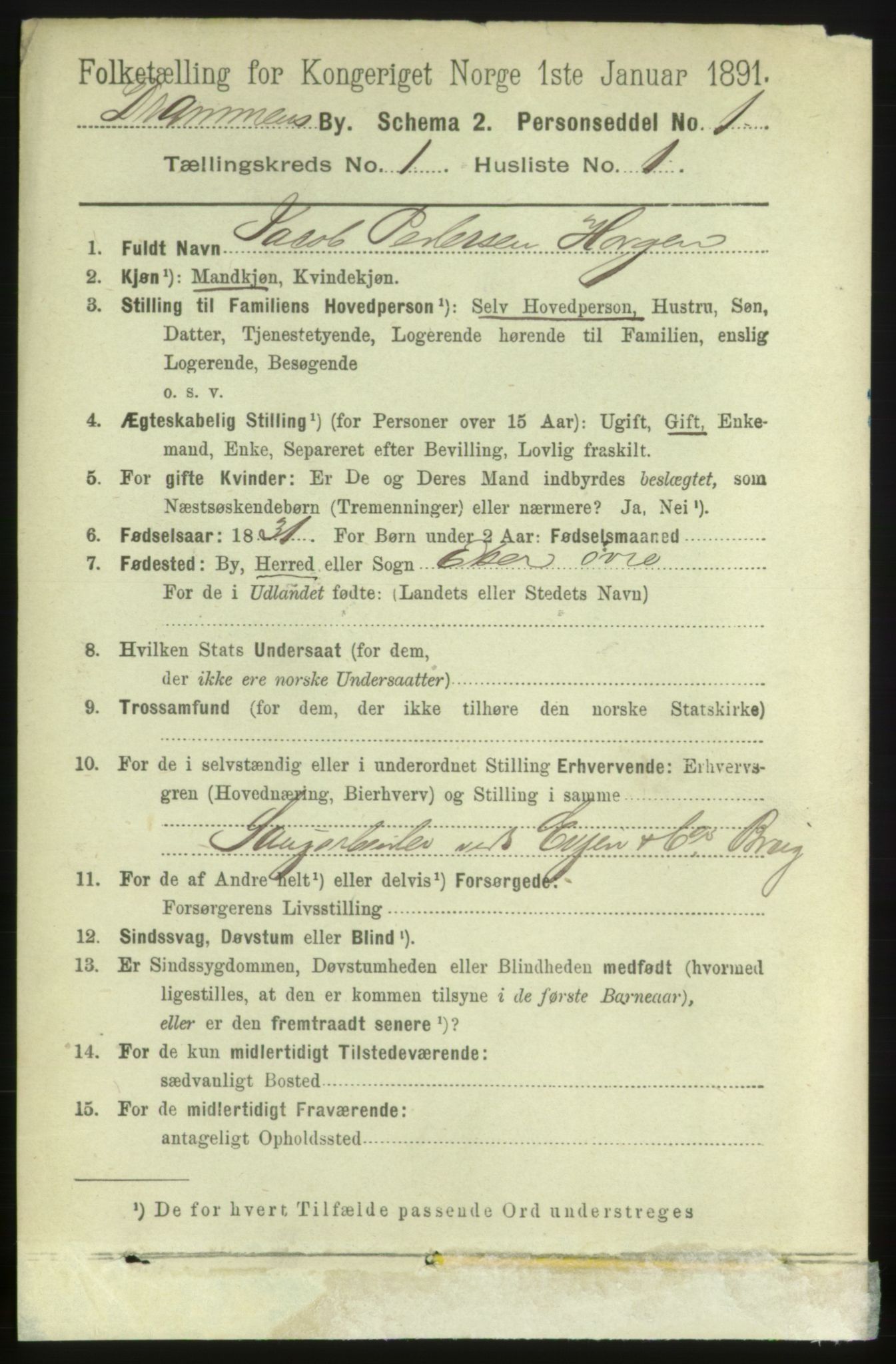 RA, 1891 census for 0602 Drammen, 1891, p. 3894