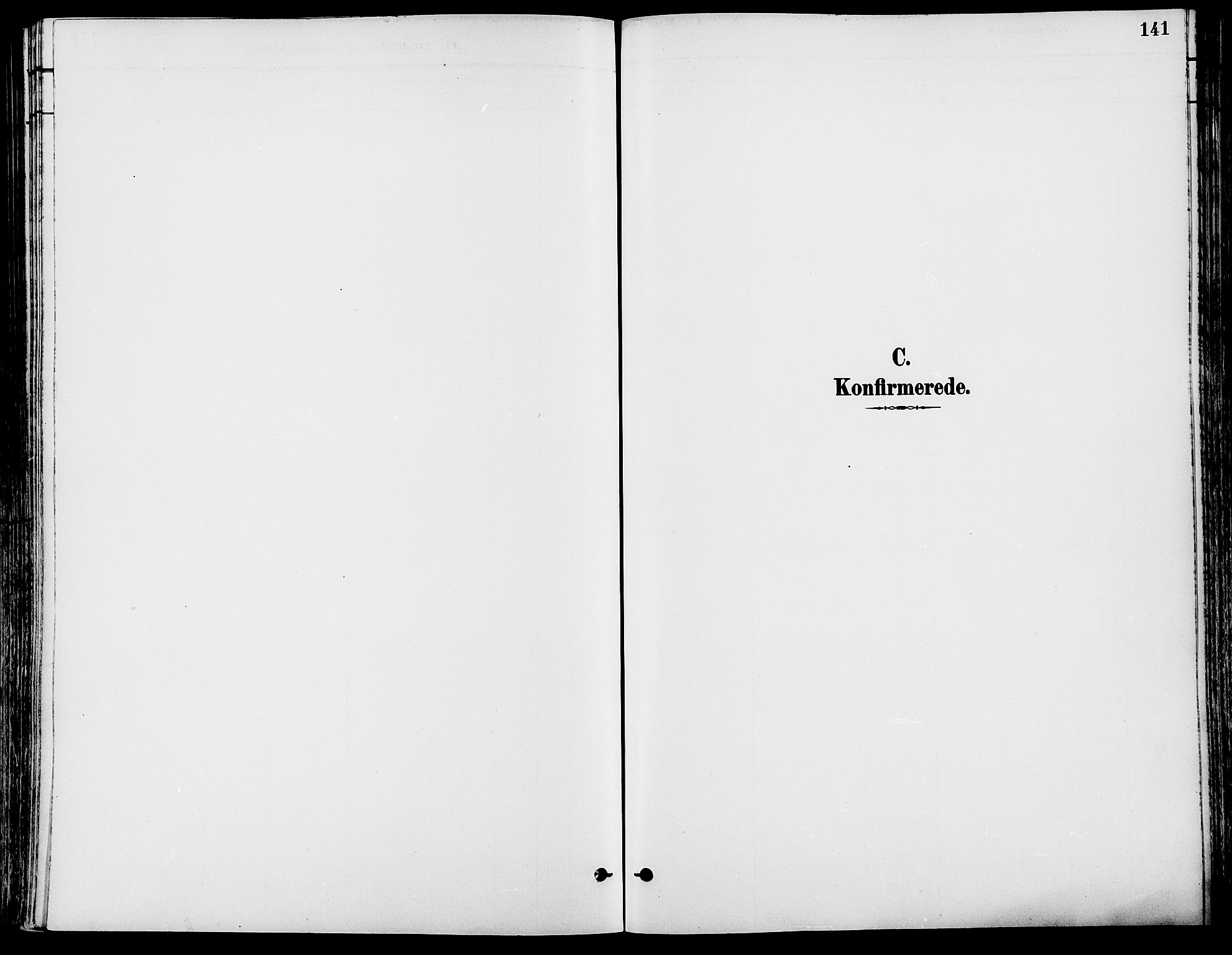 Stor-Elvdal prestekontor, SAH/PREST-052/H/Ha/Haa/L0002: Parish register (official) no. 2, 1882-1907, p. 141