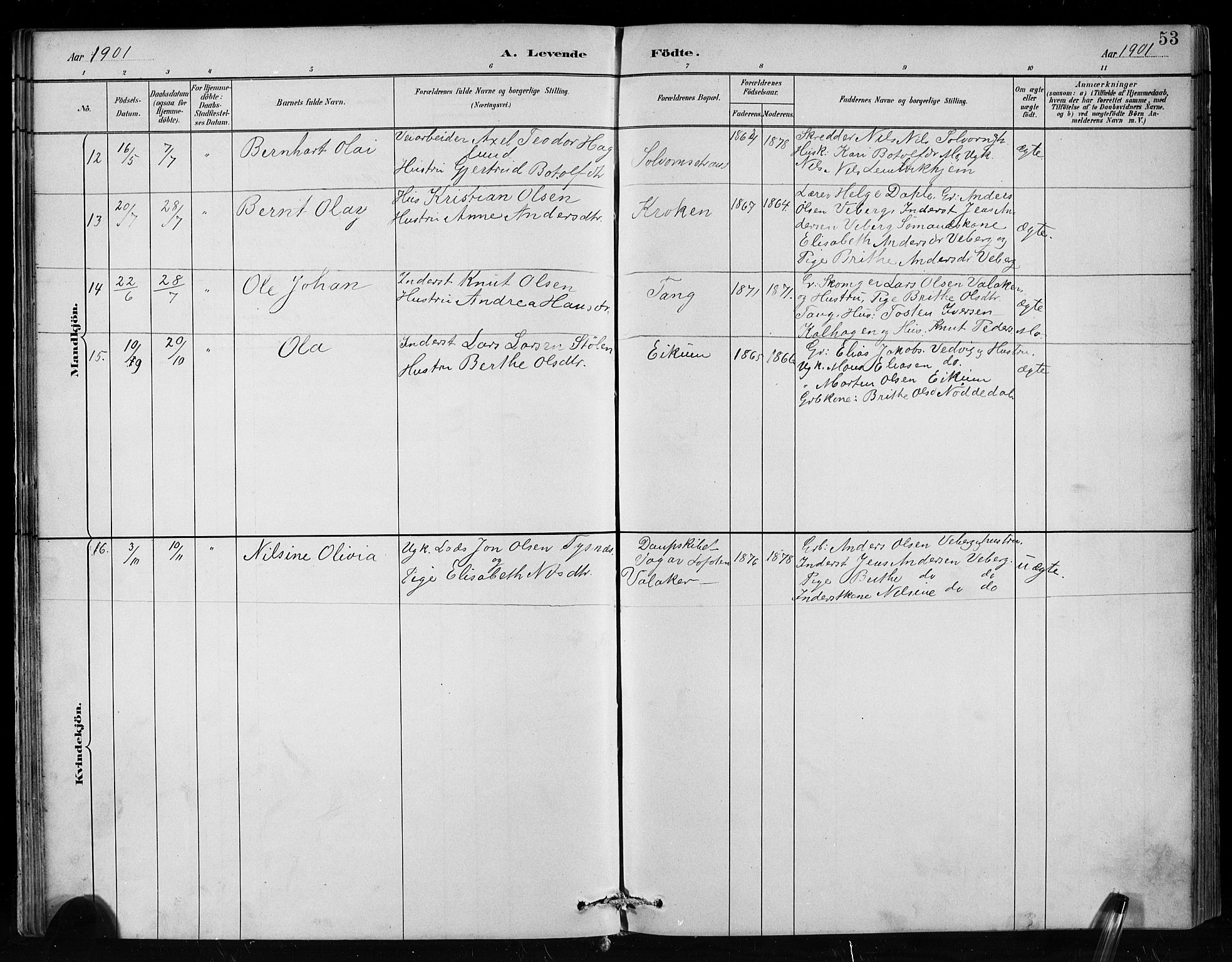 Hafslo sokneprestembete, SAB/A-80301/H/Hab/Habc/L0001: Parish register (copy) no. C 1, 1882-1908, p. 53