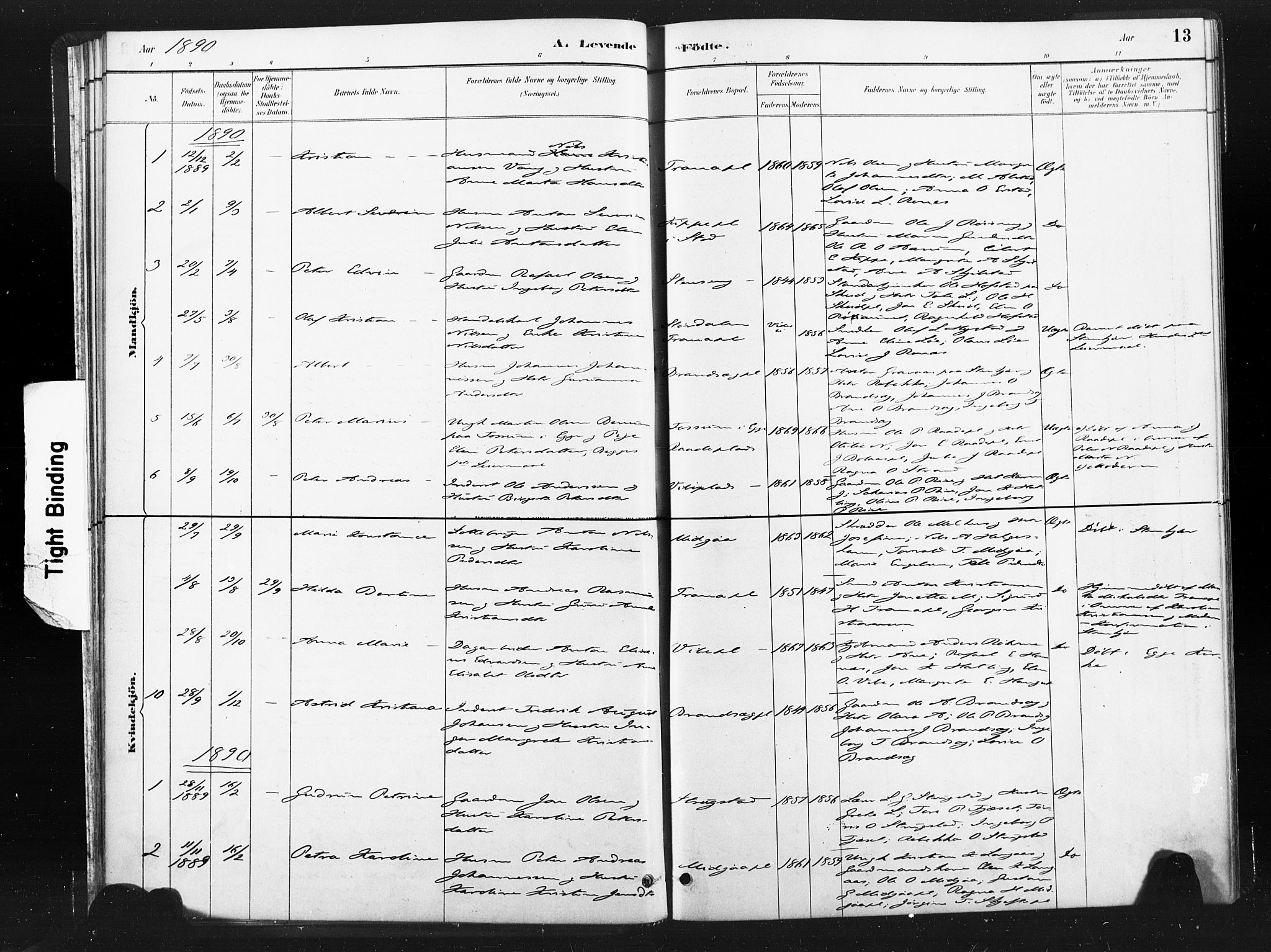 Ministerialprotokoller, klokkerbøker og fødselsregistre - Nord-Trøndelag, SAT/A-1458/736/L0361: Parish register (official) no. 736A01, 1884-1906, p. 13