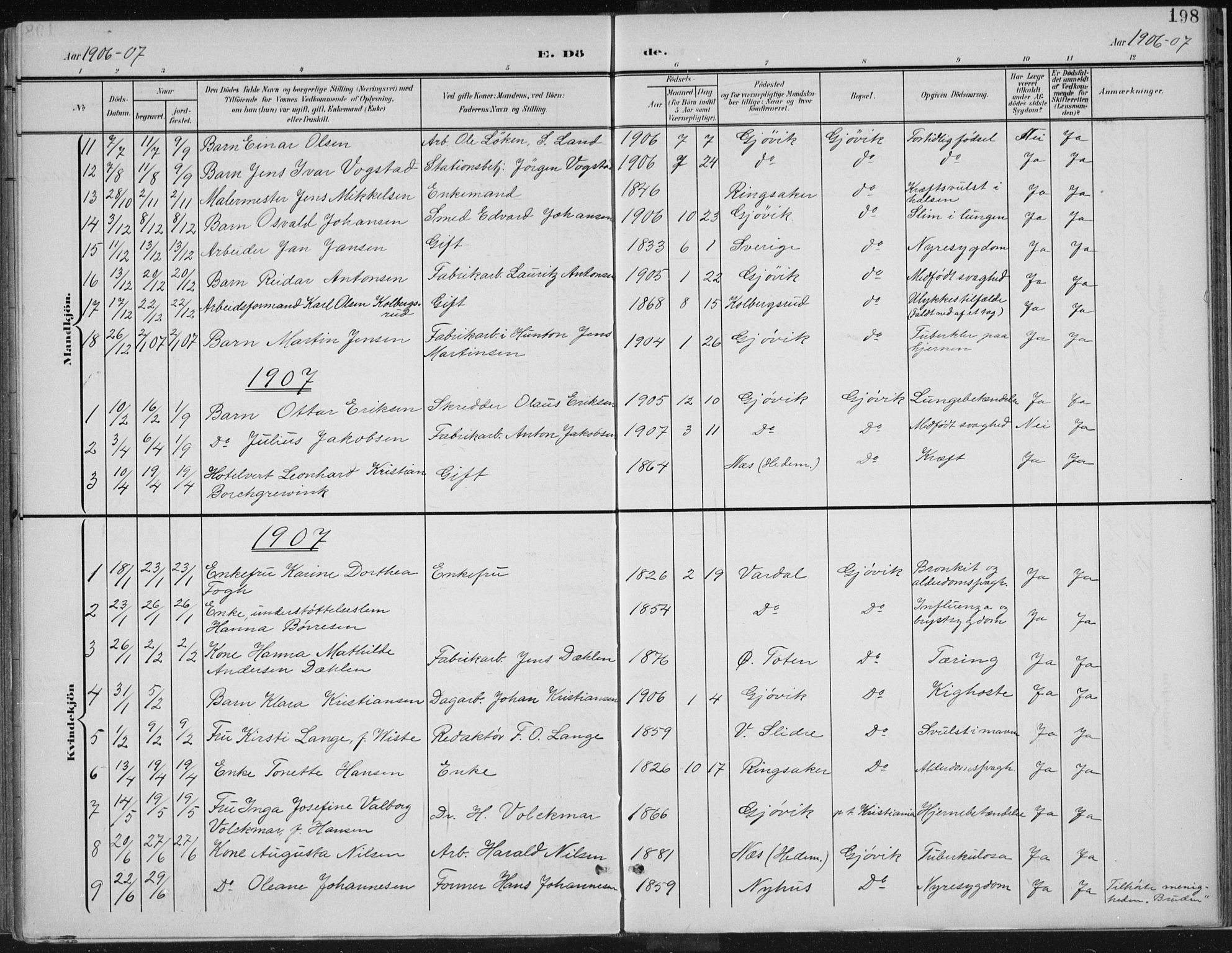 Vardal prestekontor, AV/SAH-PREST-100/H/Ha/Haa/L0013: Parish register (official) no. 13, 1901-1911, p. 198