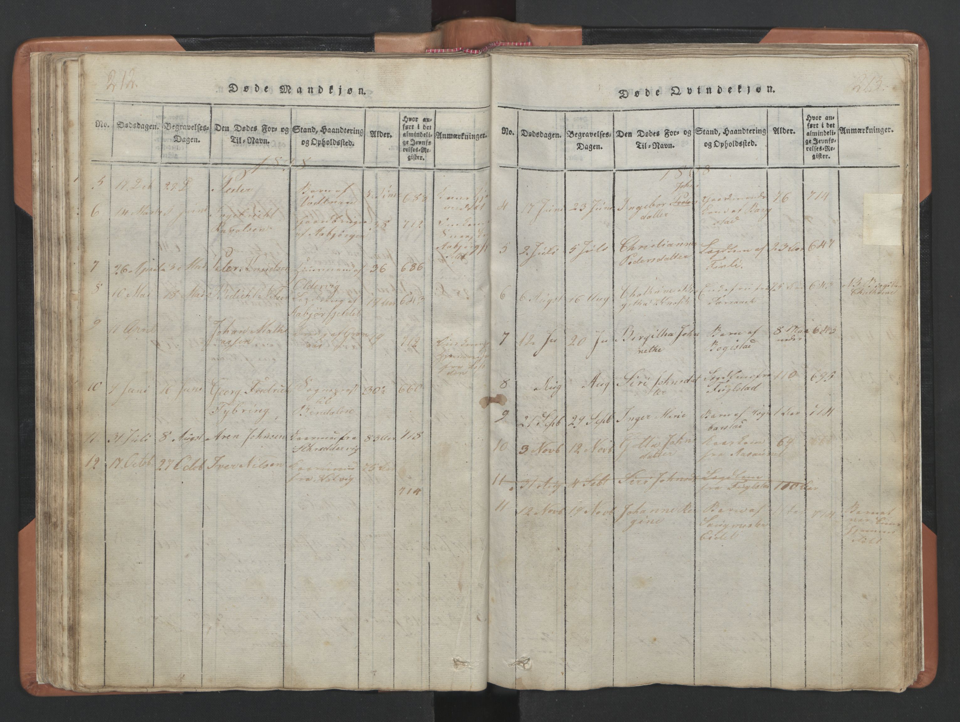 Ministerialprotokoller, klokkerbøker og fødselsregistre - Nordland, AV/SAT-A-1459/810/L0157: Parish register (copy) no. 810C01, 1819-1842, p. 212-213