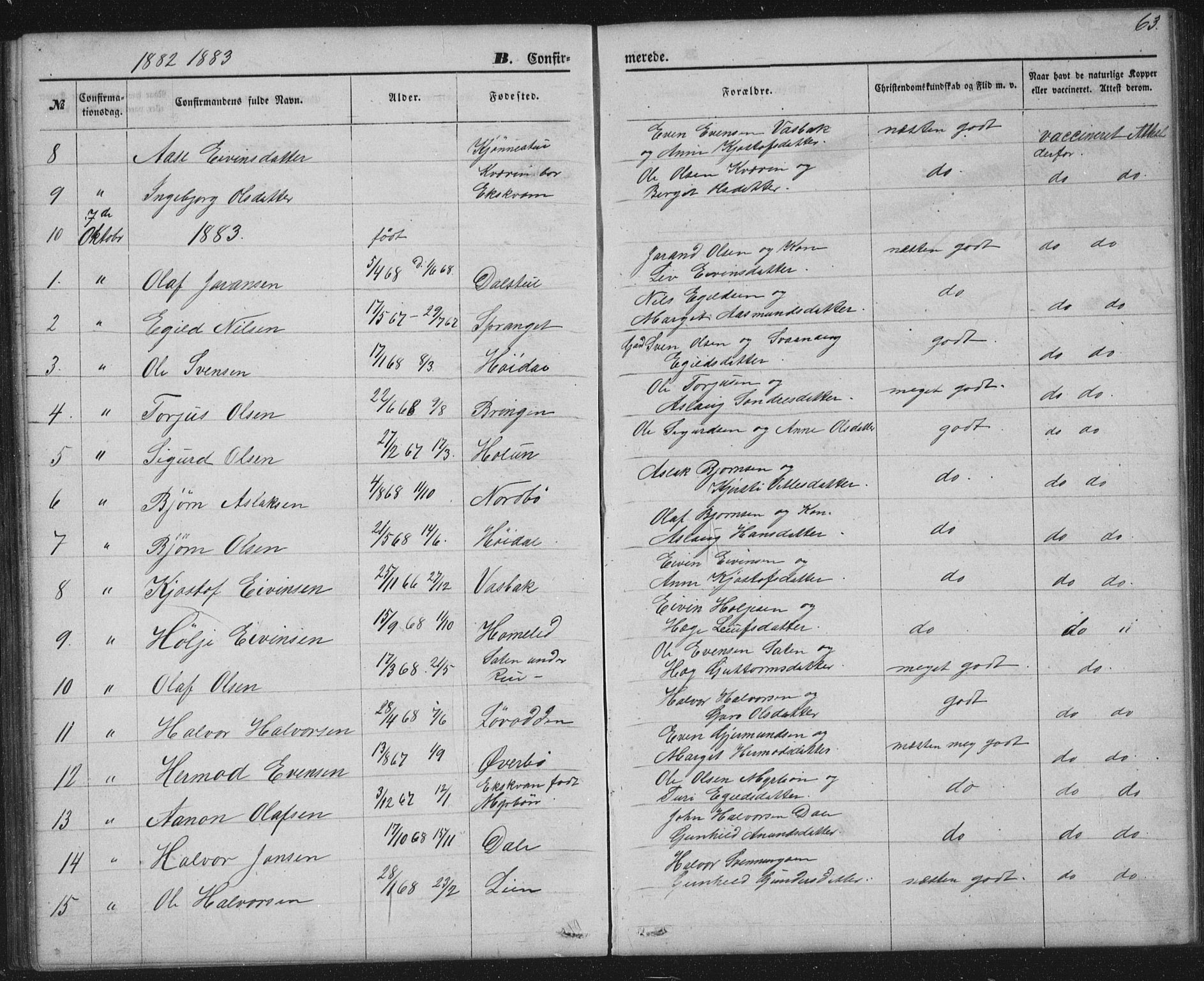 Seljord kirkebøker, SAKO/A-20/G/Gc/L0002: Parish register (copy) no. III 2, 1872-1886, p. 63
