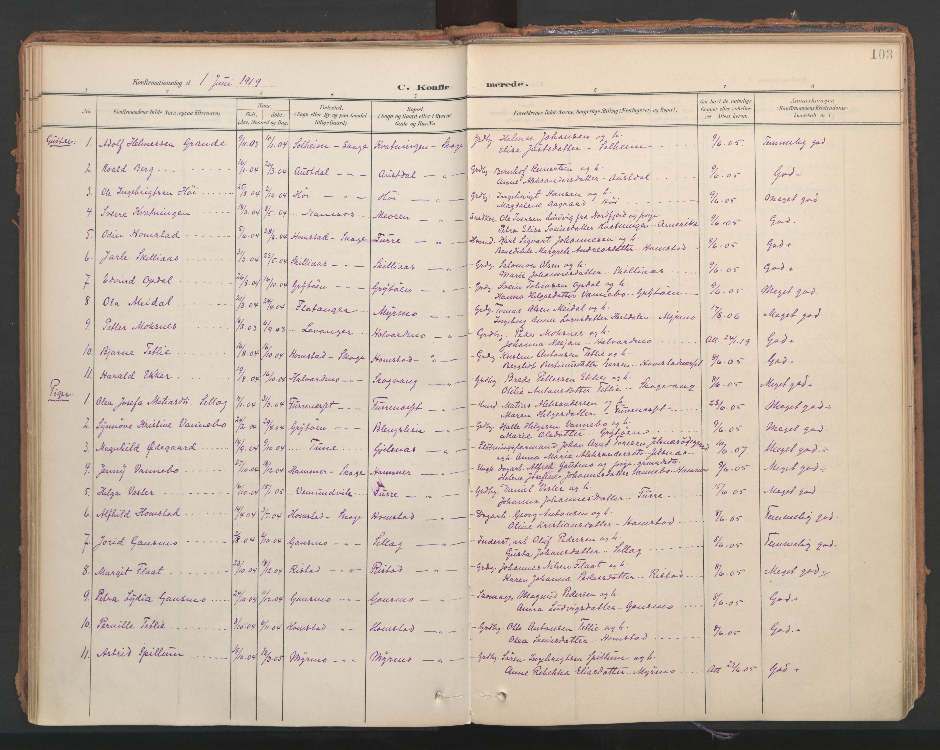 Ministerialprotokoller, klokkerbøker og fødselsregistre - Nord-Trøndelag, SAT/A-1458/766/L0564: Parish register (official) no. 767A02, 1900-1932, p. 103