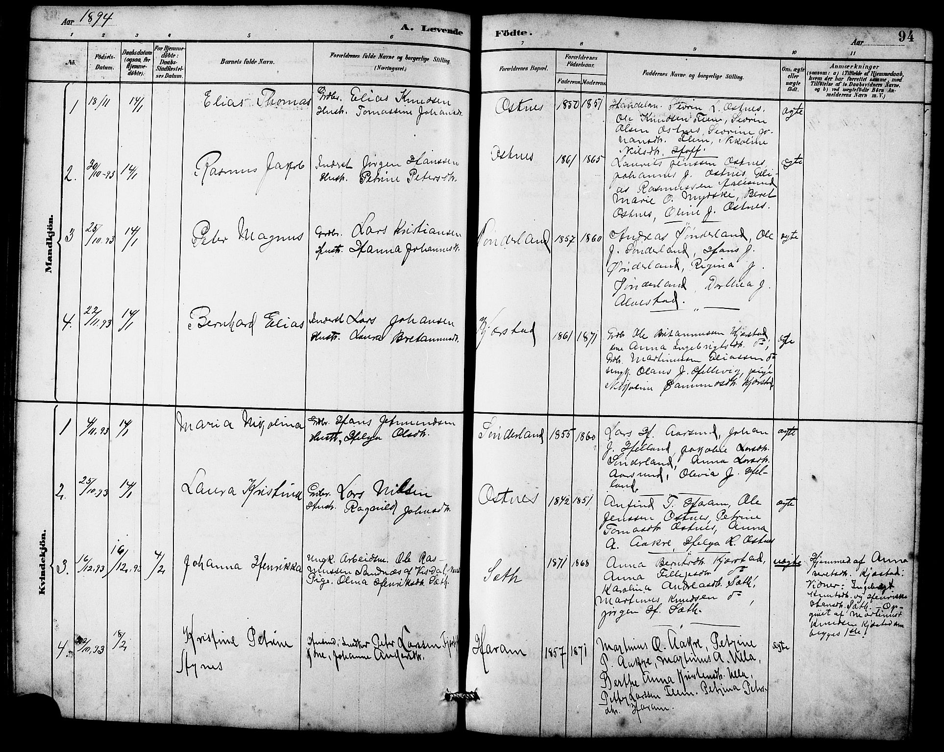 Ministerialprotokoller, klokkerbøker og fødselsregistre - Møre og Romsdal, AV/SAT-A-1454/536/L0510: Parish register (copy) no. 536C05, 1881-1898, p. 94