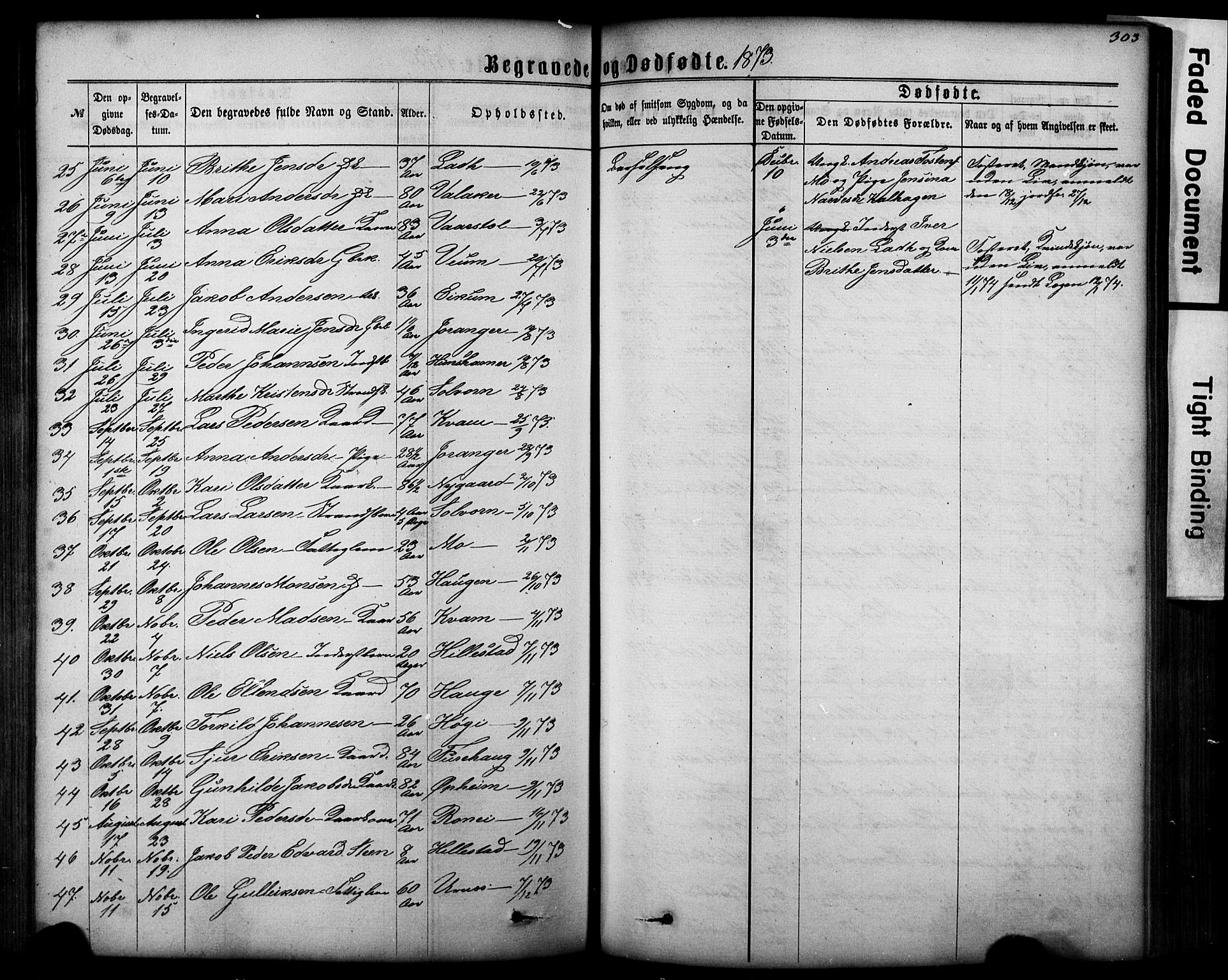 Hafslo sokneprestembete, SAB/A-80301/H/Hab/Haba/L0001: Parish register (copy) no. A 1, 1866-1908, p. 303