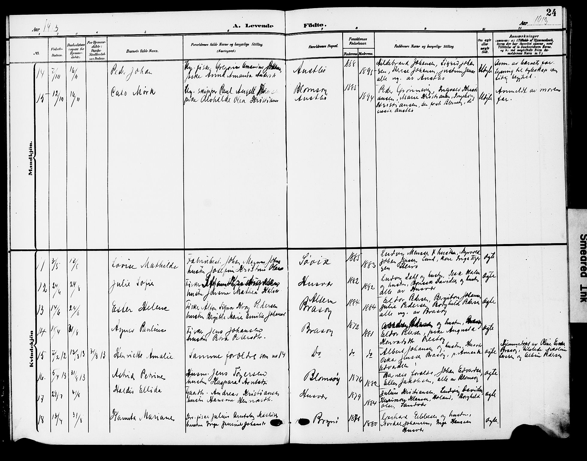 Ministerialprotokoller, klokkerbøker og fødselsregistre - Nordland, AV/SAT-A-1459/830/L0464: Parish register (copy) no. 830C06, 1906-1925, p. 24