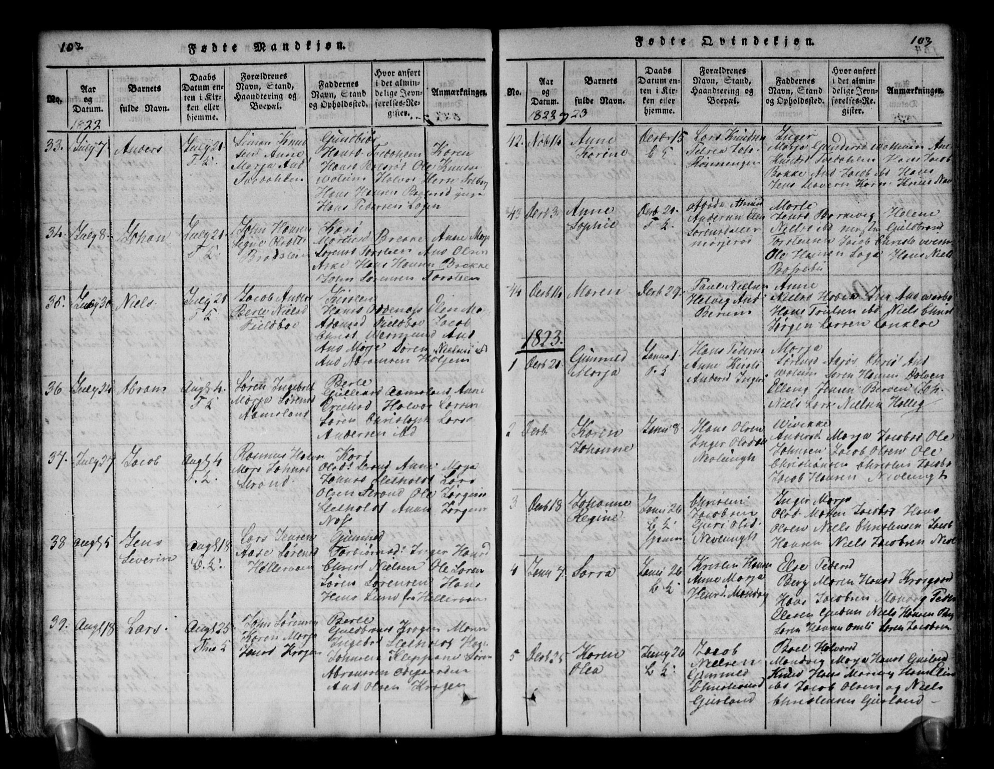 Brunlanes kirkebøker, SAKO/A-342/G/Ga/L0001: Parish register (copy) no. I 1, 1814-1834, p. 102-103