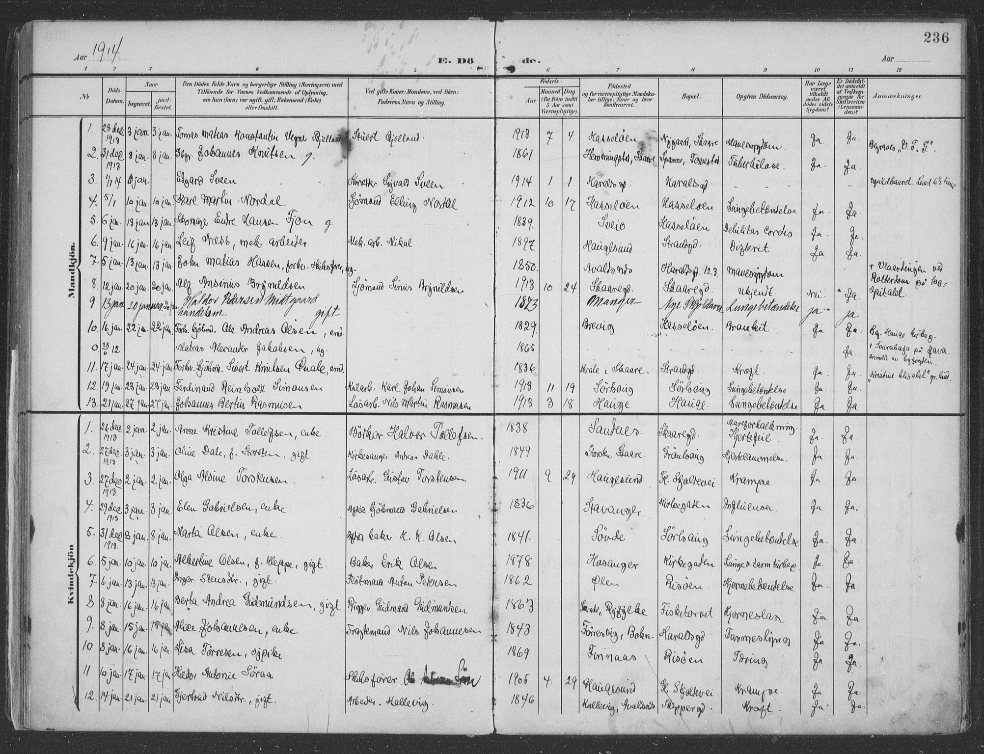 Haugesund sokneprestkontor, AV/SAST-A -101863/H/Ha/Haa/L0007: Parish register (official) no. A 7, 1904-1916, p. 236