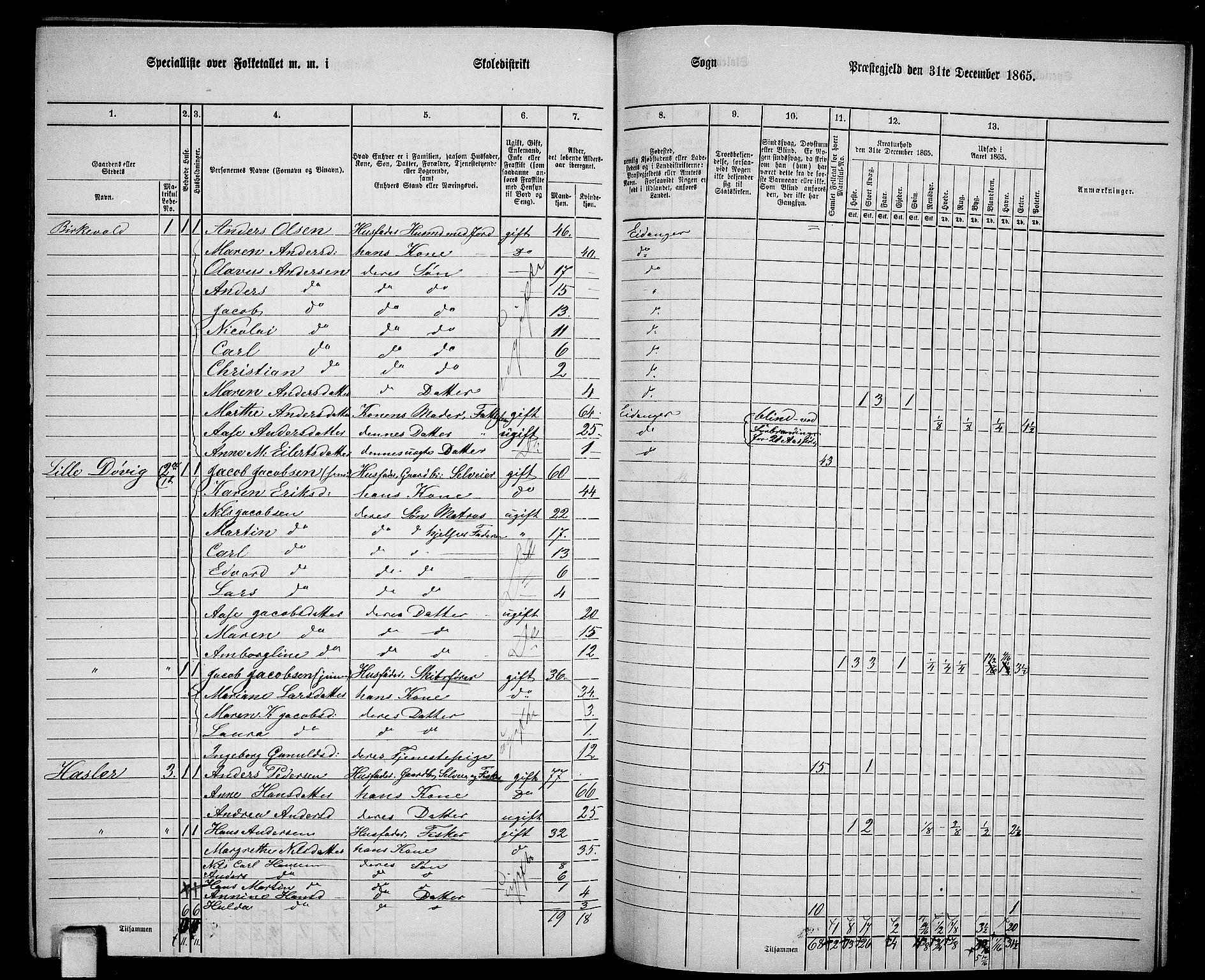 RA, 1865 census for Eidanger, 1865, p. 101