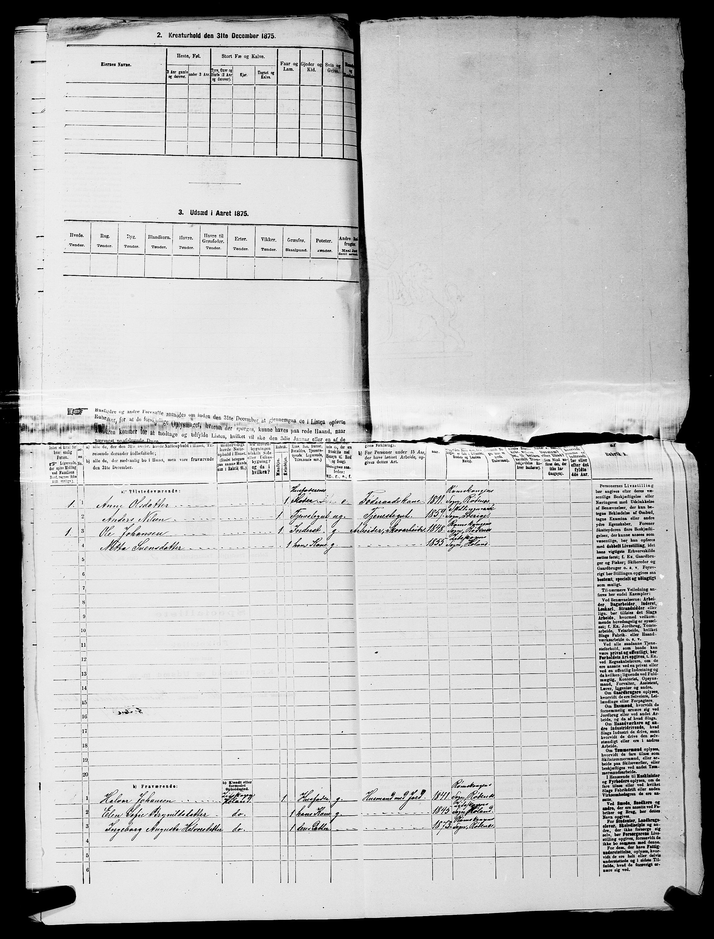 RA, 1875 census for 0120P Rødenes, 1875, p. 795